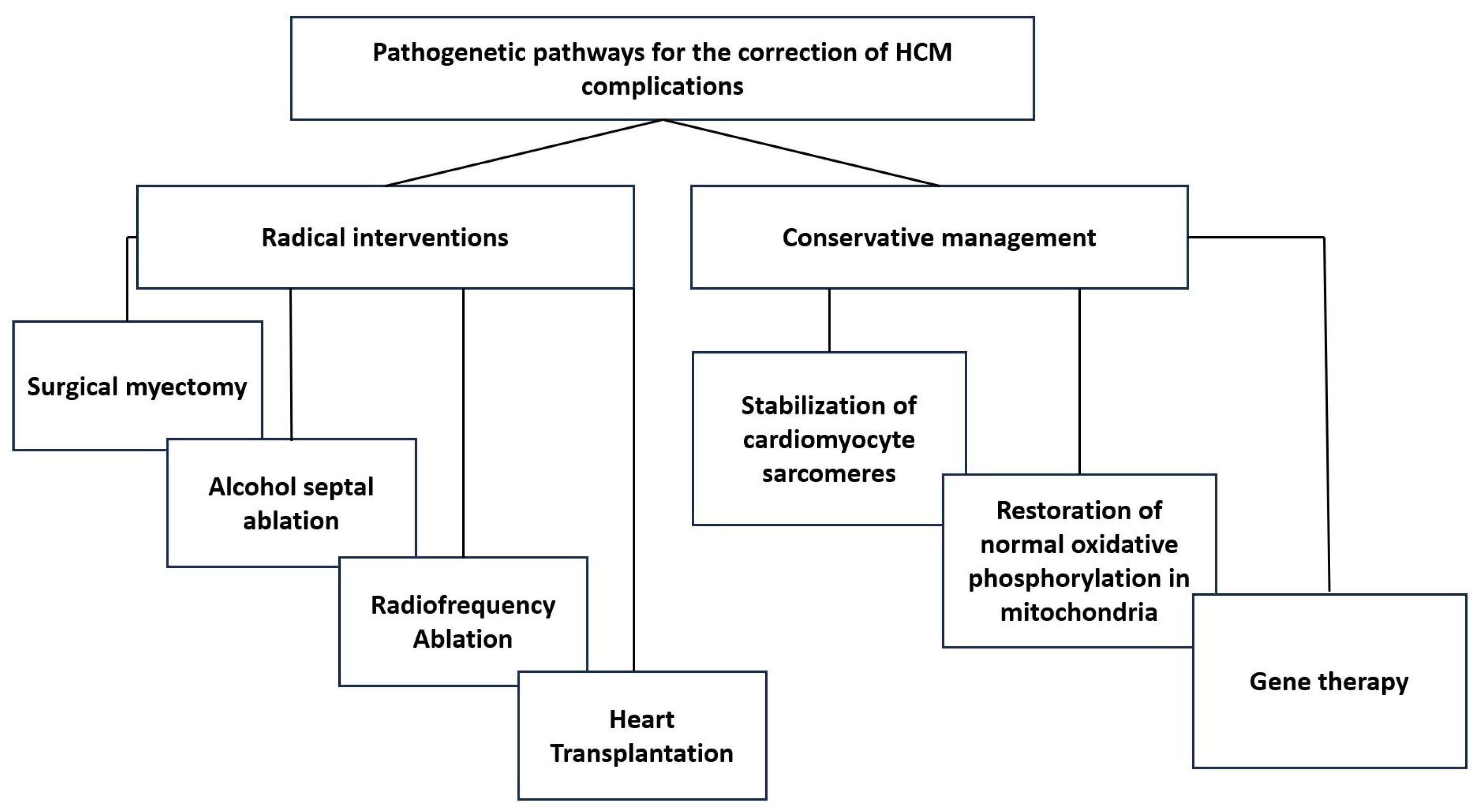 Cellular and Molecular Mechanisms of Heart Failure and Sudden Cardiac ...