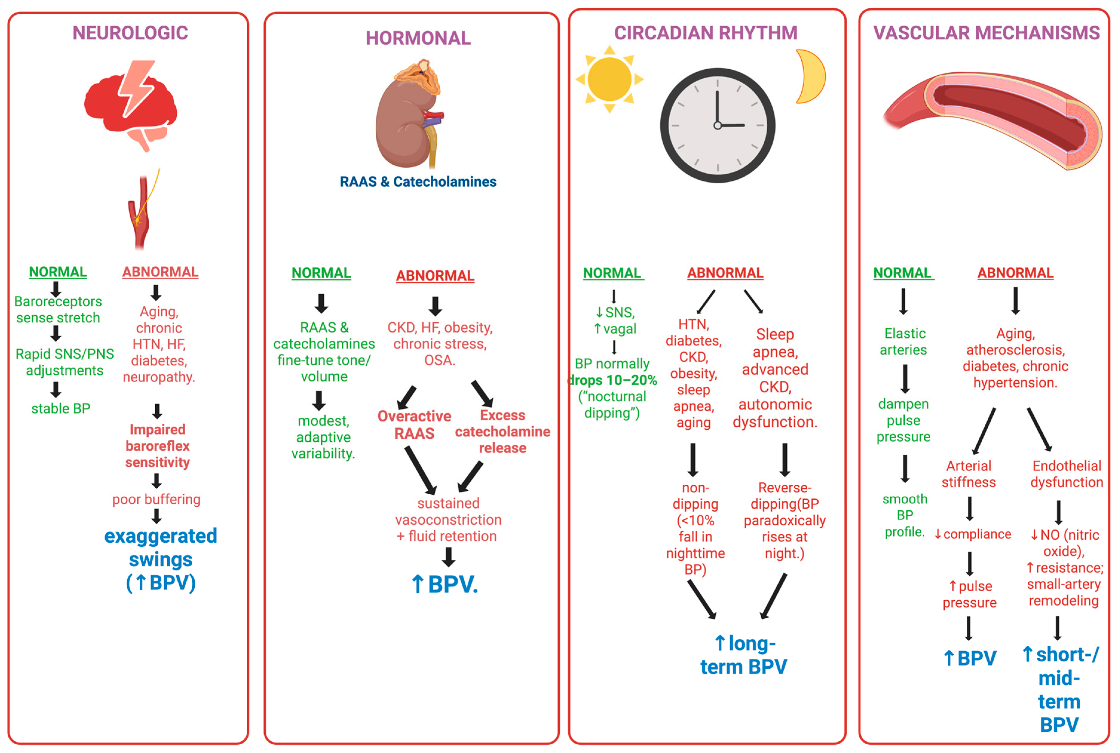 Blood Pressure Variability (BPV) as a Novel Digital Biomarker of ...