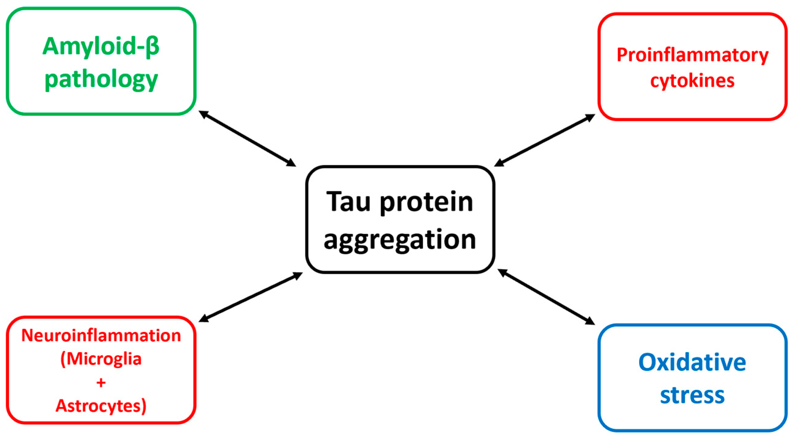 Tau Protein Aggregation Inhibitors—Therapeutic Strategy for Concurrent ...