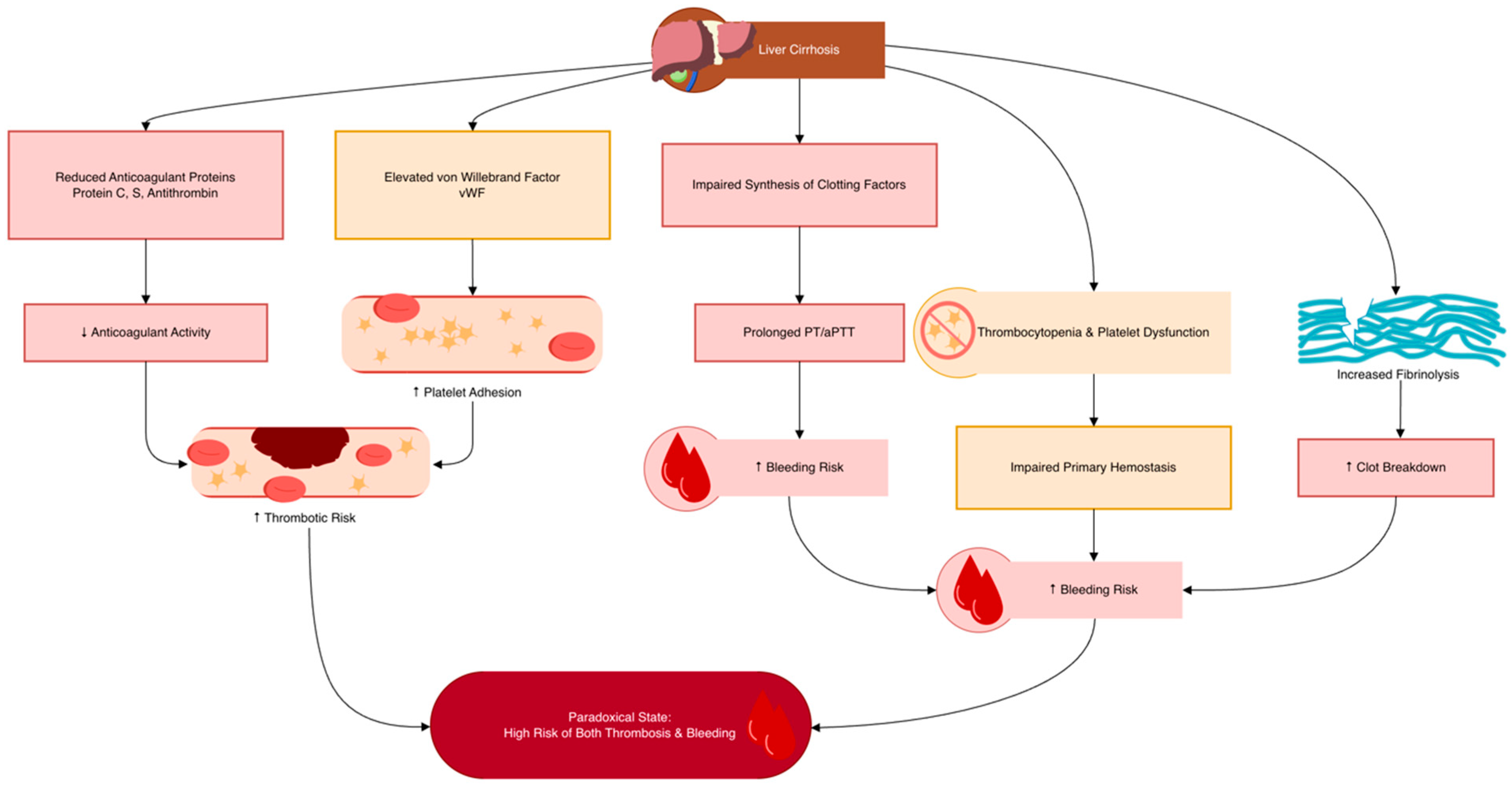 When Atrial Fibrillation Meets Alcoholic Liver Cirrhosis: Can Direct ...