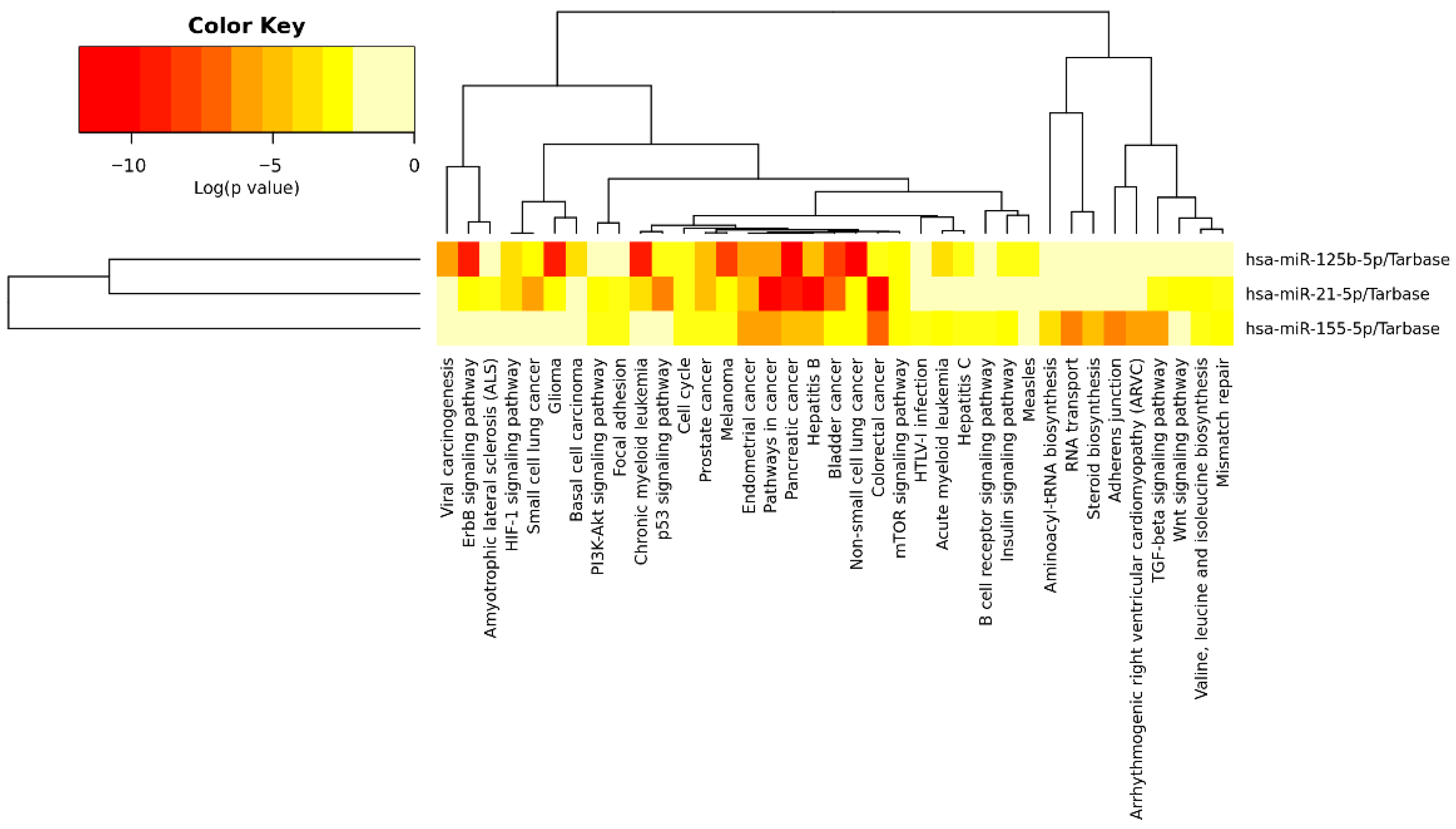 Bioinformatic Analysis of microRNAs Associated with Chemotherapy ...
