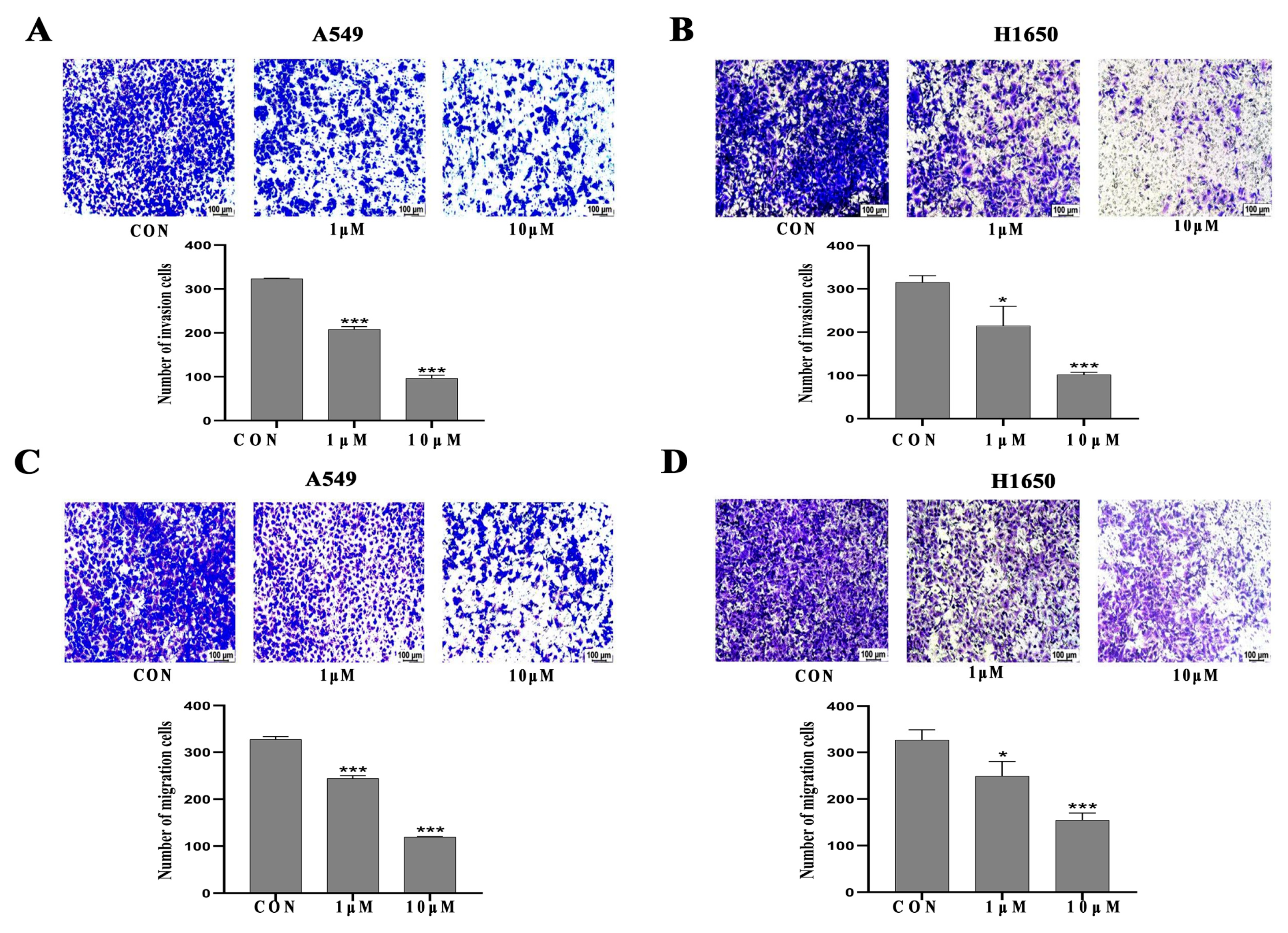 In Vitro Cell Viability and Migration Inhibitory Effects of ...