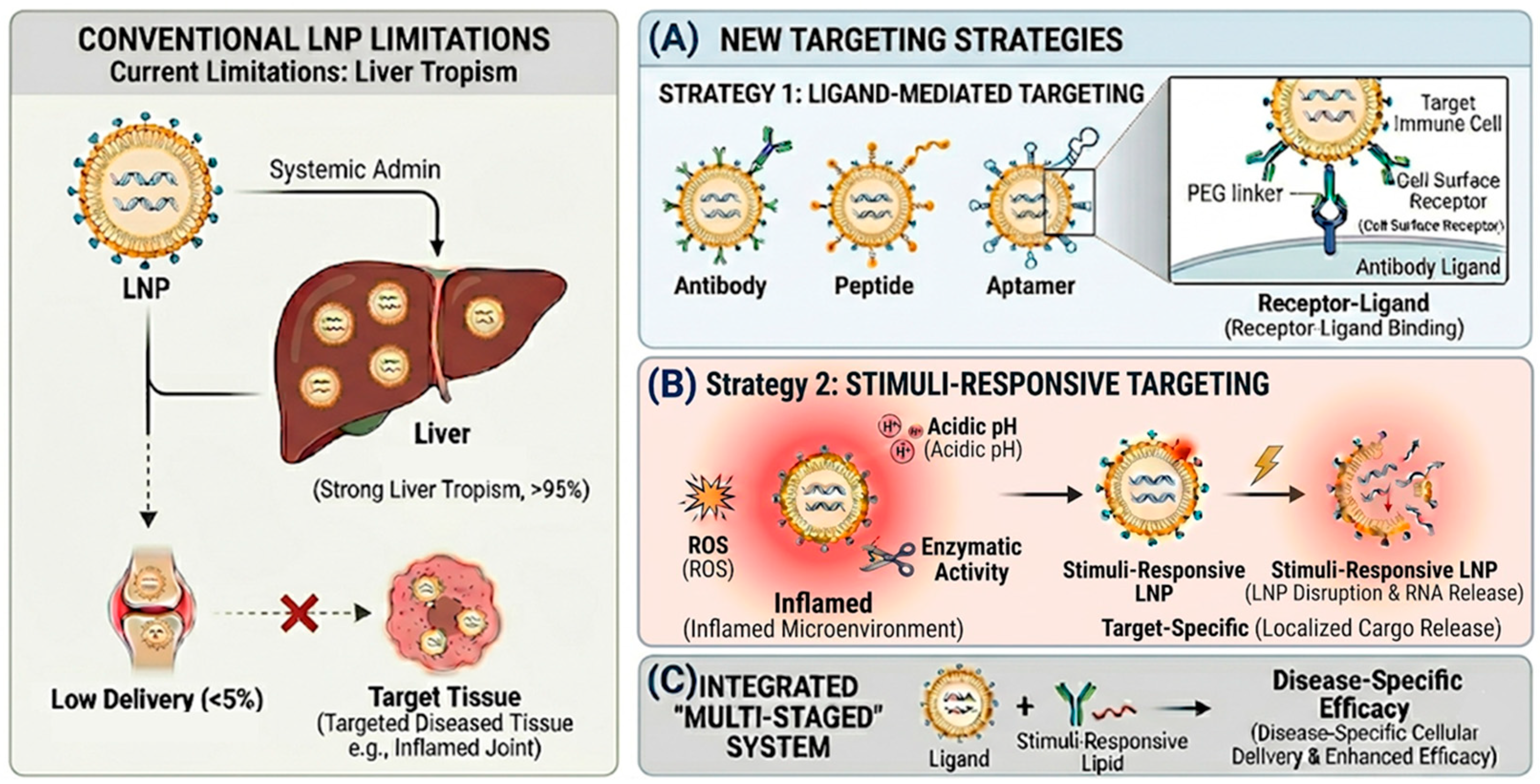Functionalized Lipid Nanoparticles for Targeted RNA Delivery in Immune ...