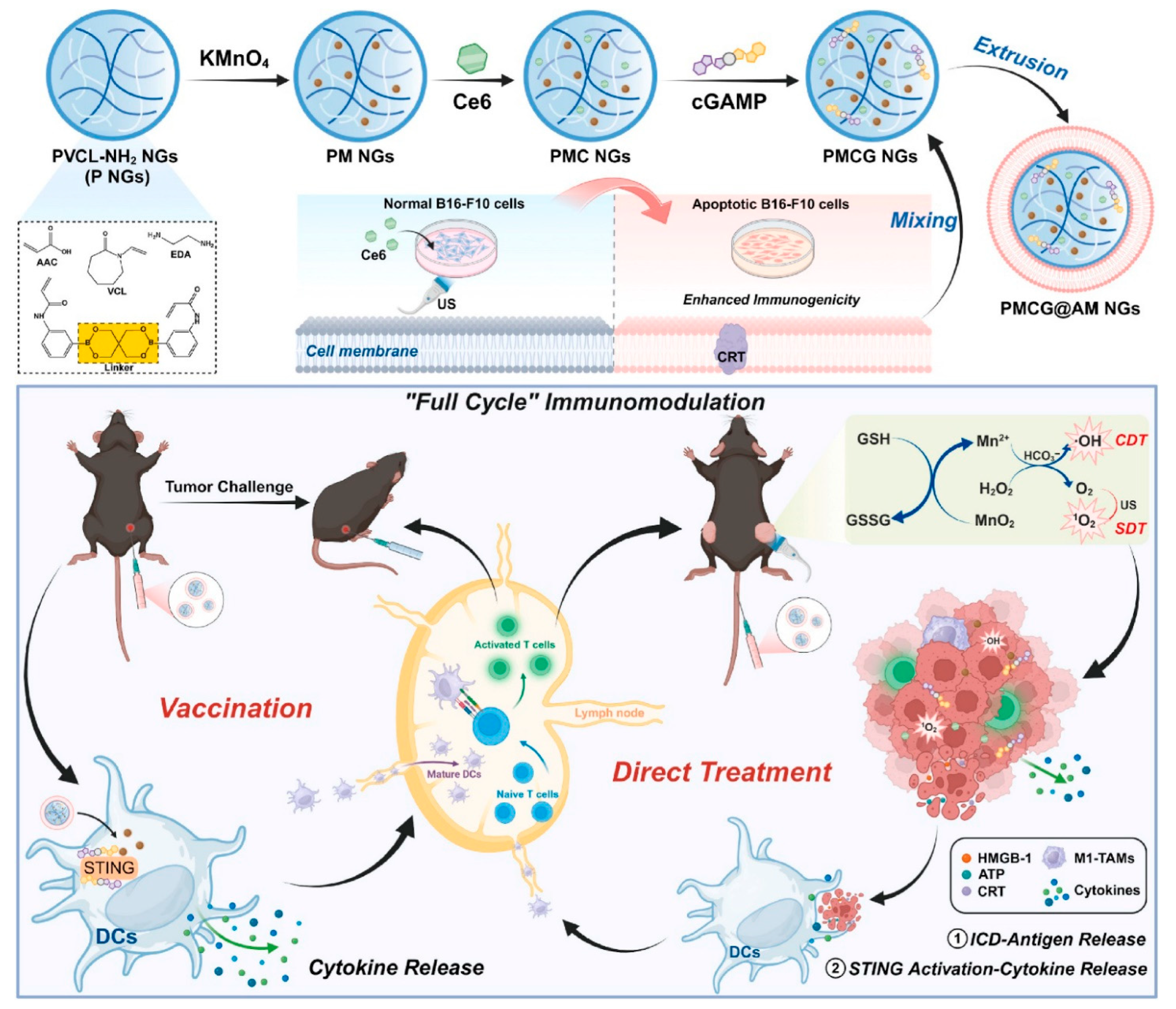 Immunomodulatory Nanomaterials: Design Strategies, Mechanisms ...