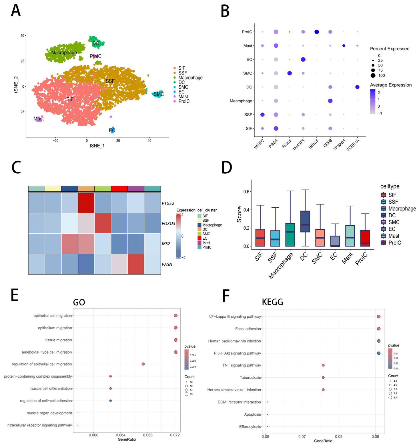Expression Analysis of Mitochondrial Energy Metabolism−Related Genes ...