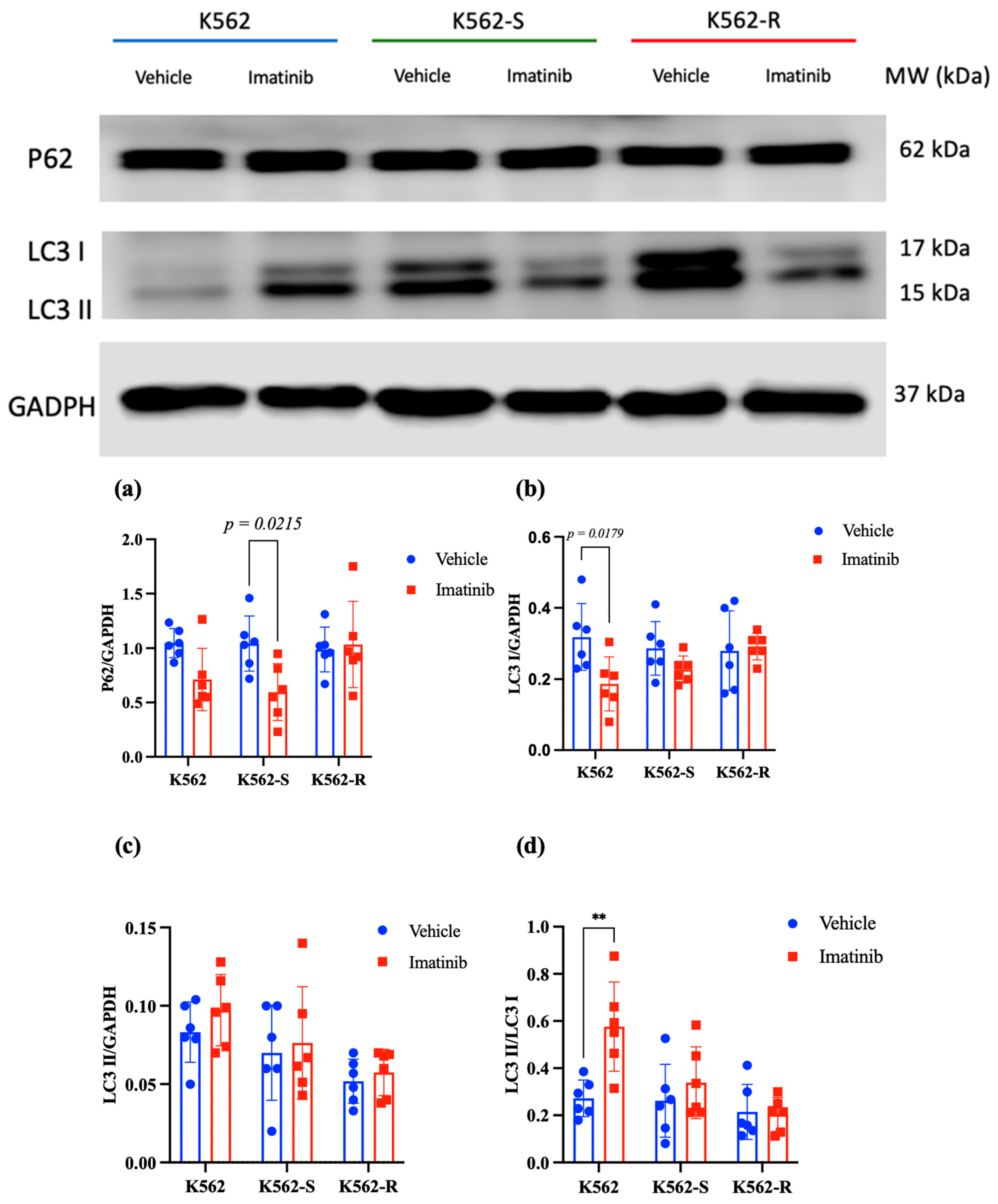 Imatinib Resistance in Chronic Myeloid Leukemia Is Associated with ...