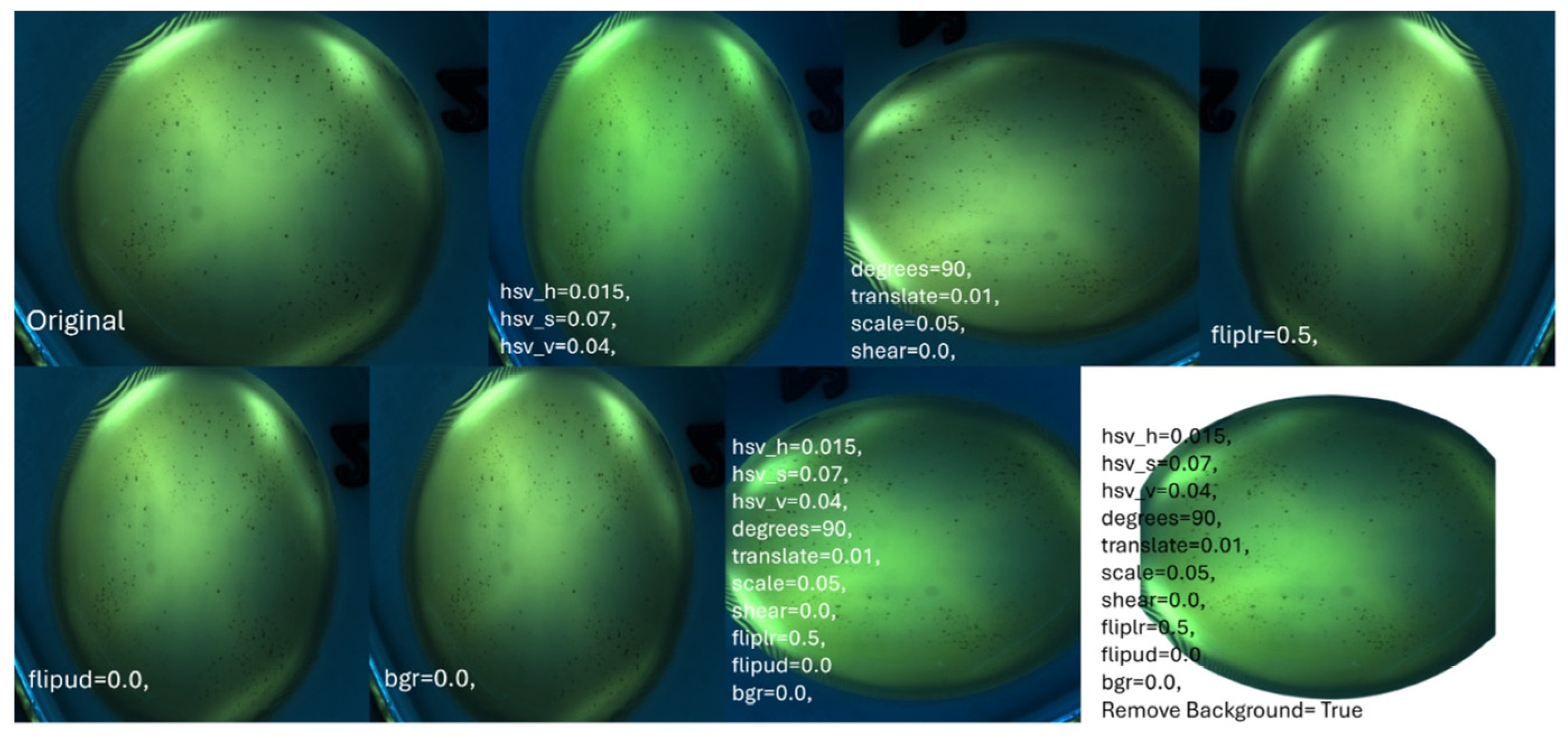 Automatic Rpr Automatic Interpretation of RPR Tests Using Lightweight Hybrid ...