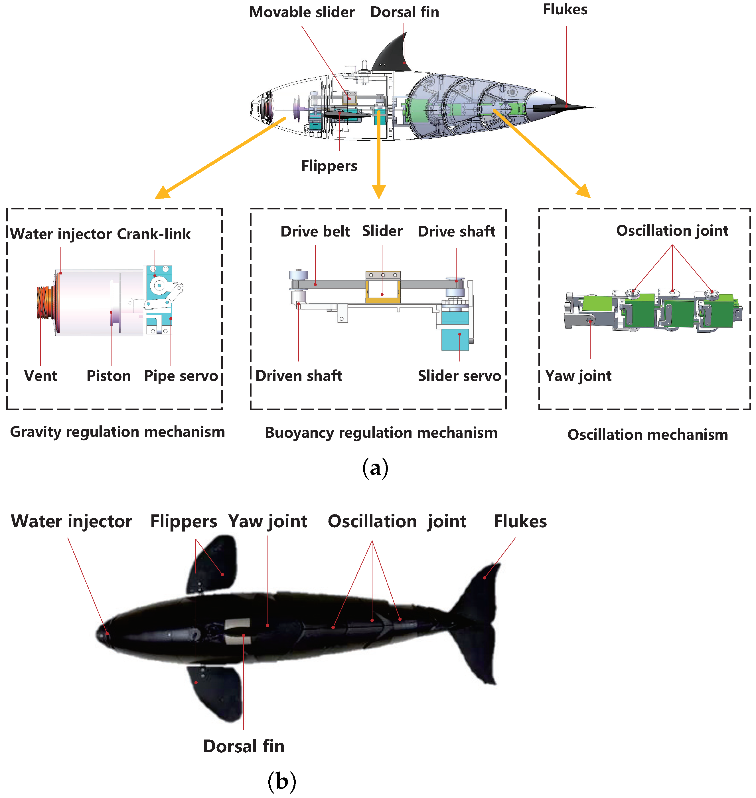 Mechanical and hardware configurations of the robotic fish: (a