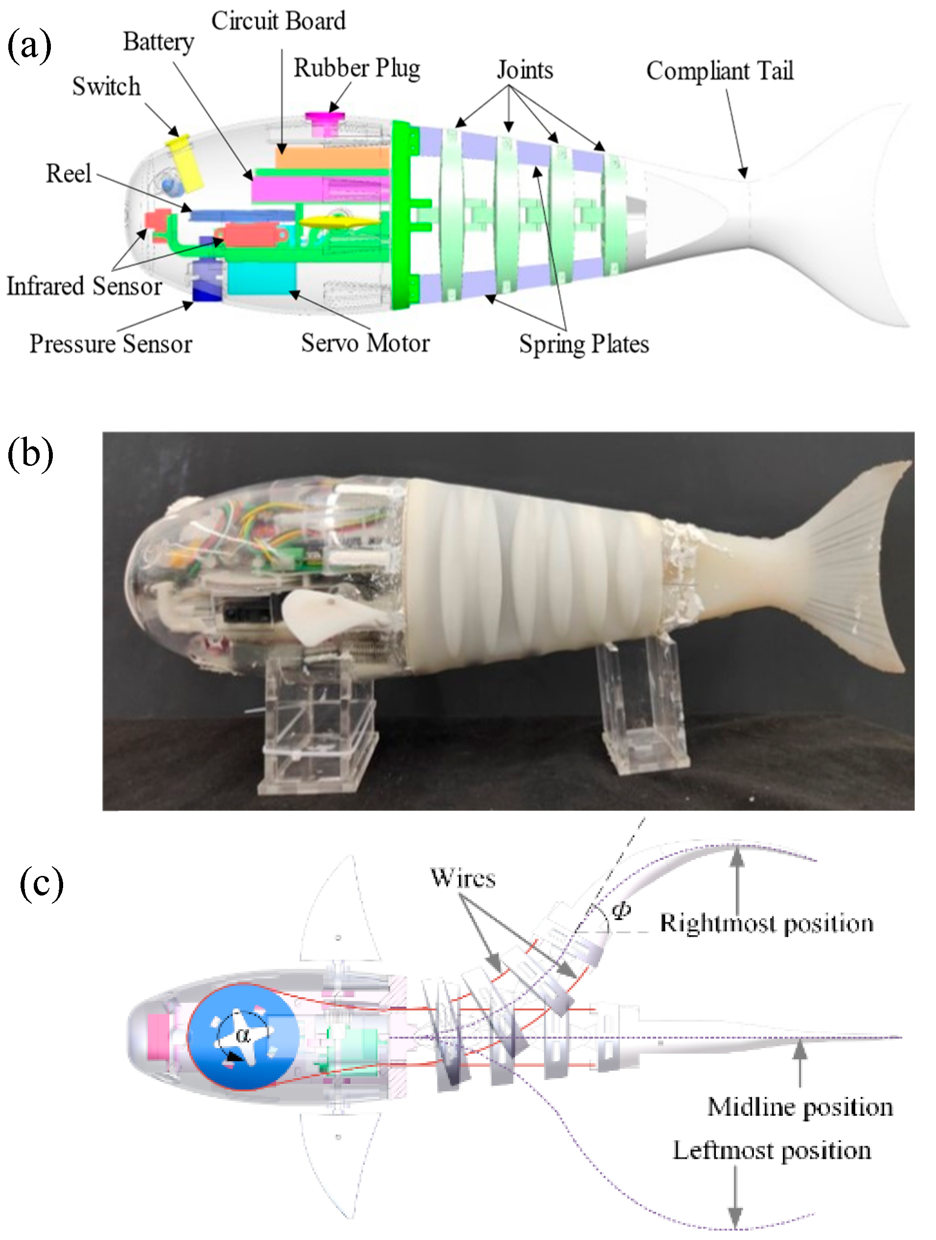 Finite-Time Line-of-Sight Guidance-Based Path-Following Control 