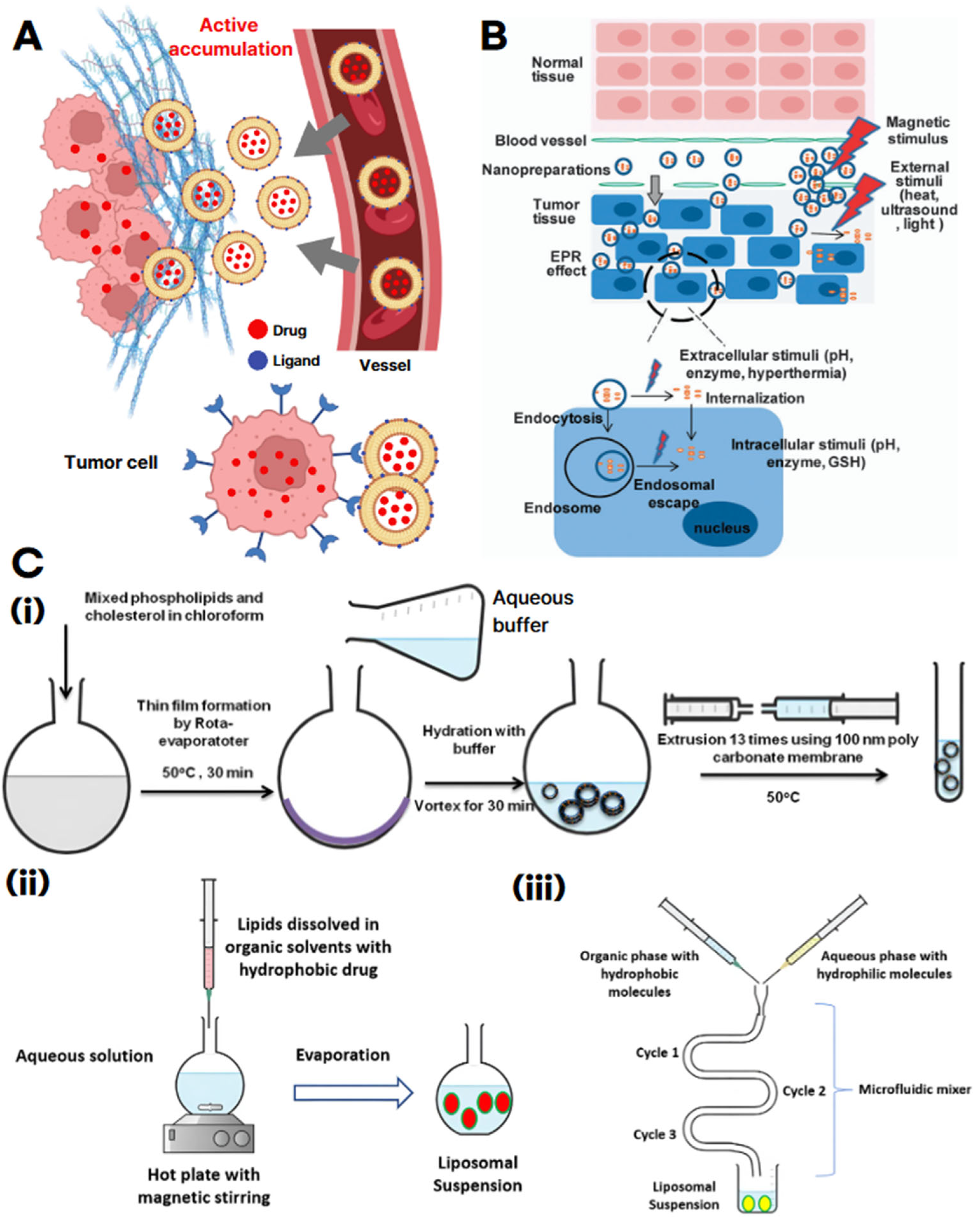Multifunctional Liposomes: Smart Nanomaterials for Enhanced ...