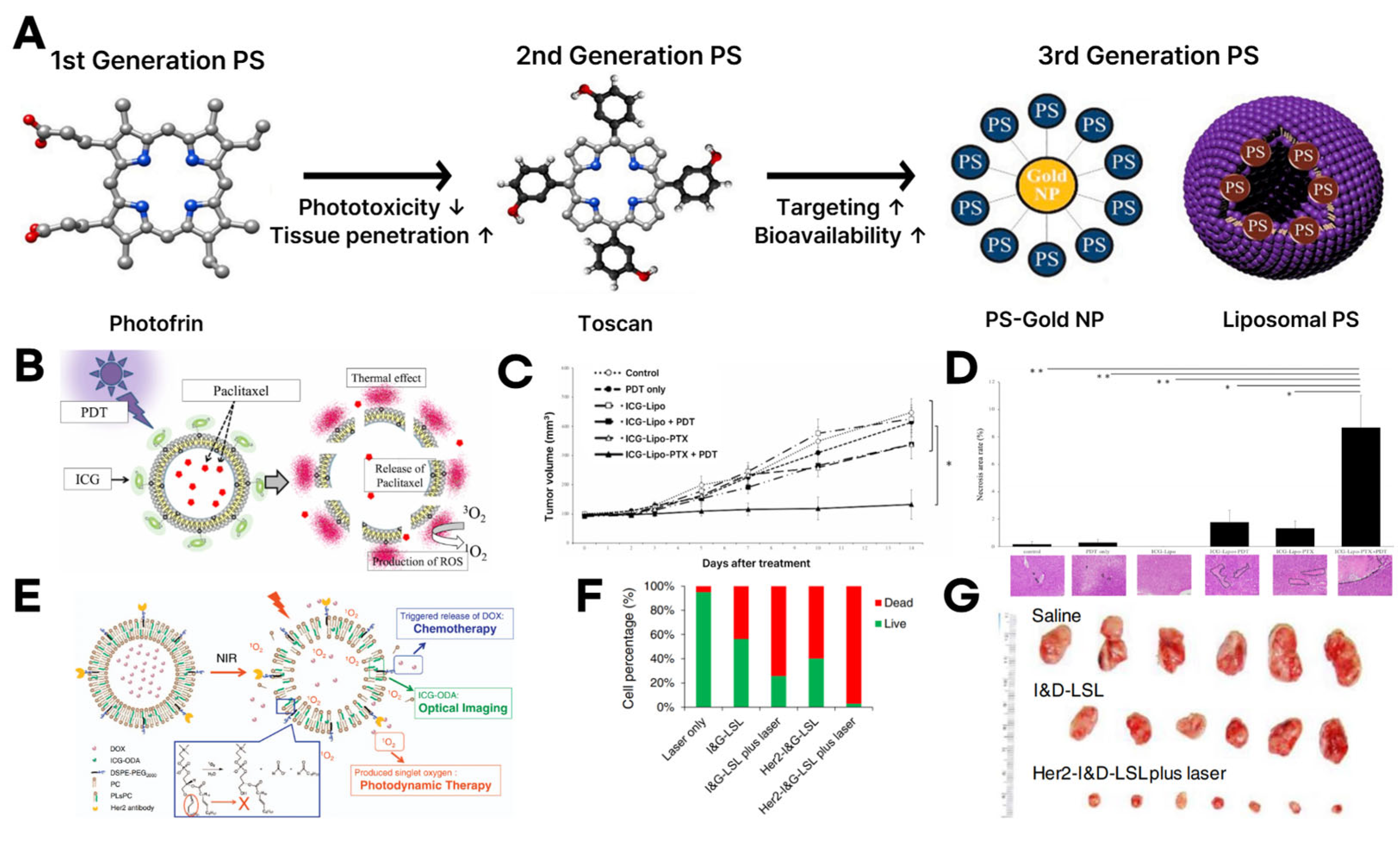 Multifunctional Liposomes: Smart Nanomaterials for Enhanced ...