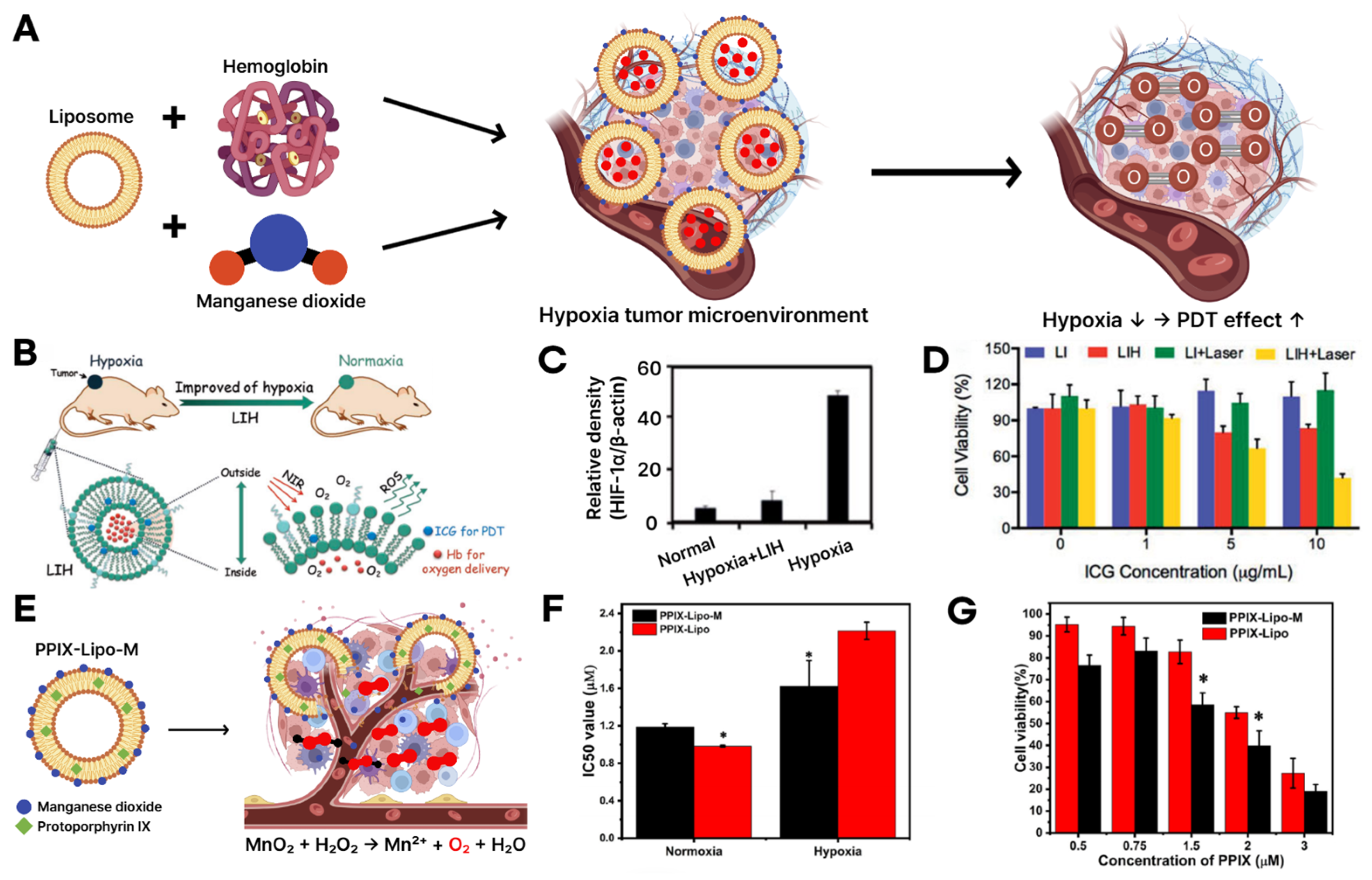 Multifunctional Liposomes: Smart Nanomaterials for Enhanced ...