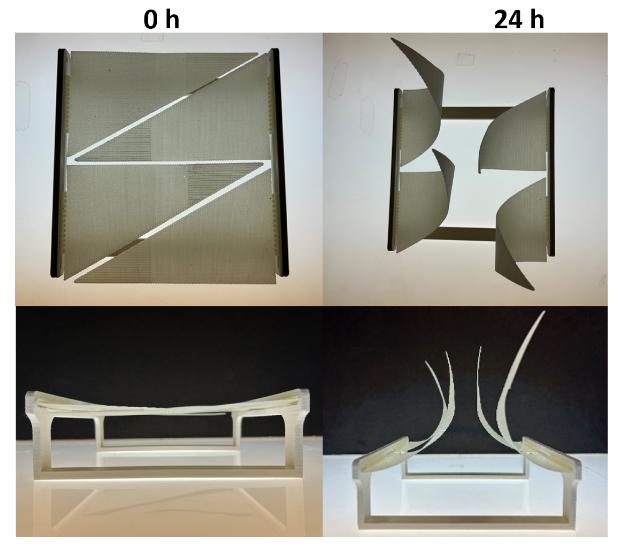Biomimetic Shading Systems: Integrating Motorised and Moisture ...