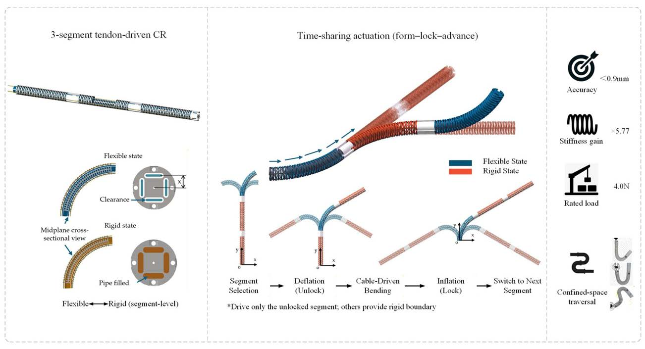 Design and Implementation of a Three-Segment Tendon-Driven Continuum ...