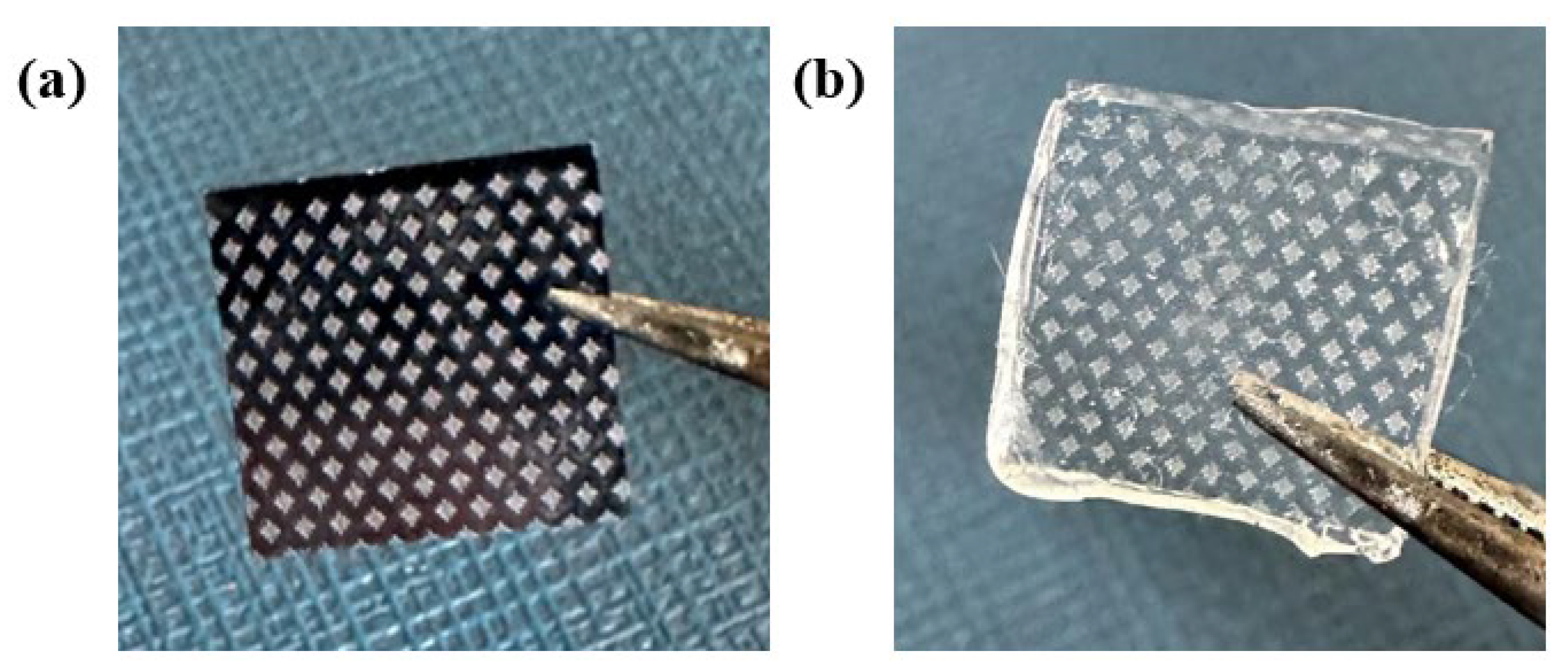 Fabrication and Drag Reduction Performance of Bionic Surfaces Featuring ...