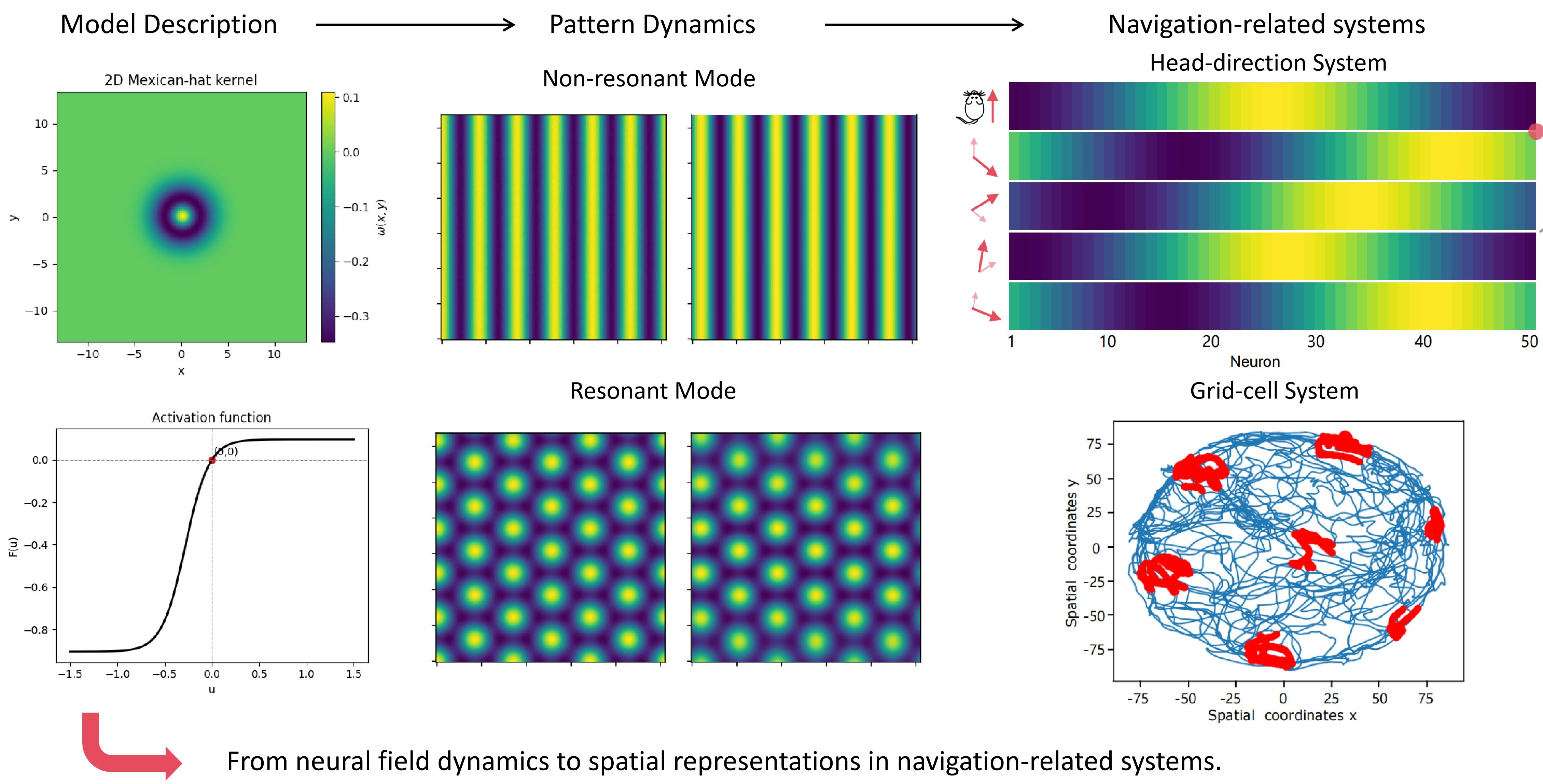Resonance-Dependent Pattern Dynamics in a Neural Field for Spatial Coding