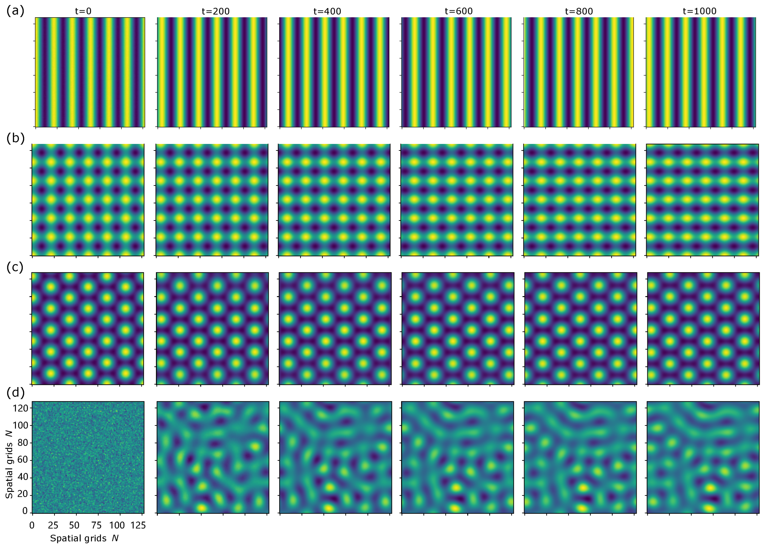 Neurodynamic Patterns Resonance-Dependent Pattern Dynamics in a Neural Field for Spatial Coding