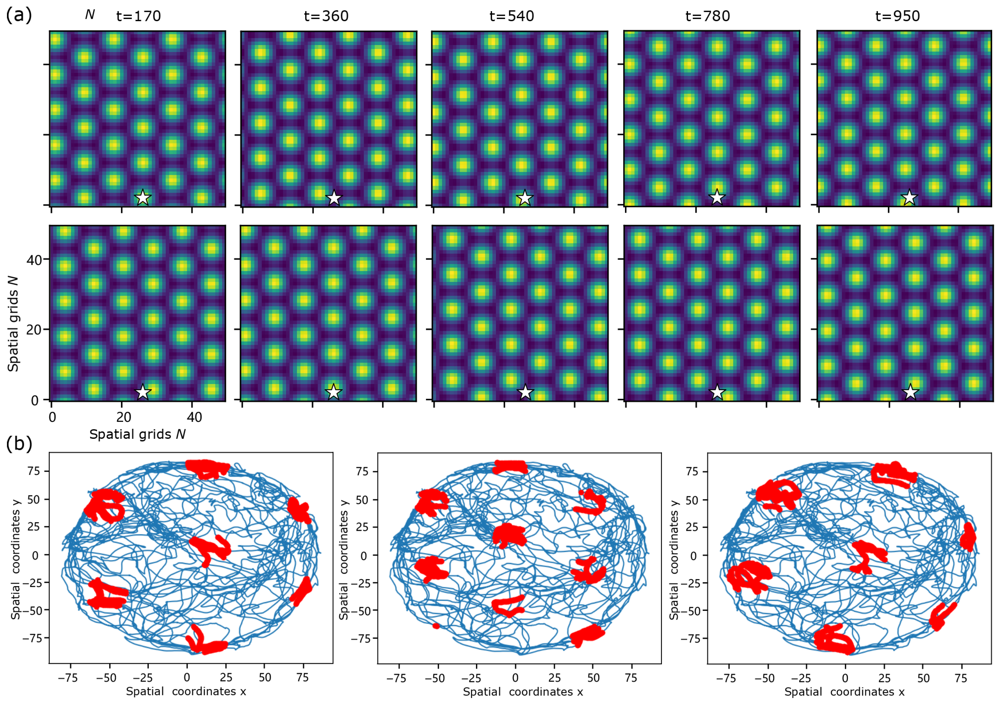 Resonance-Dependent Pattern Dynamics in a Neural Field for Spatial Coding