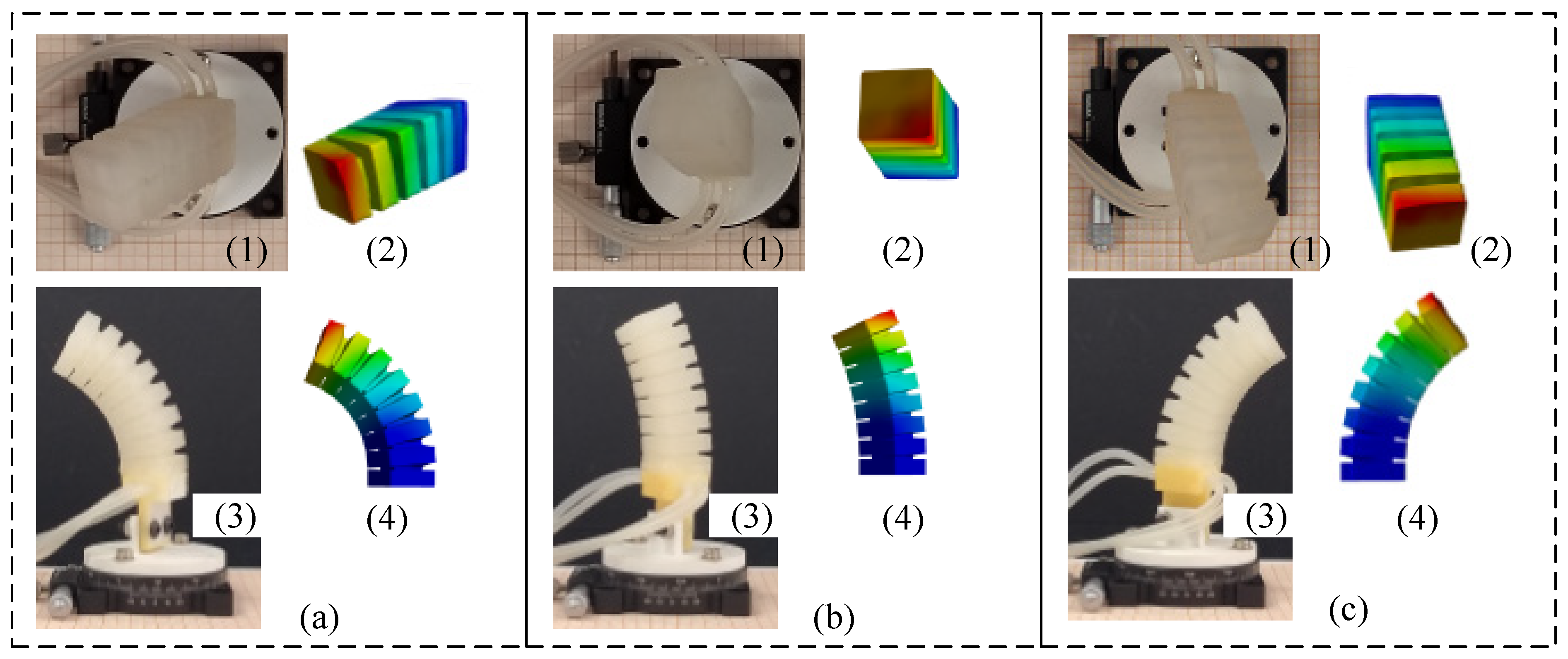 A Biomimetic Four-Chamber Soft Actuator for Human-like Dexterous ...