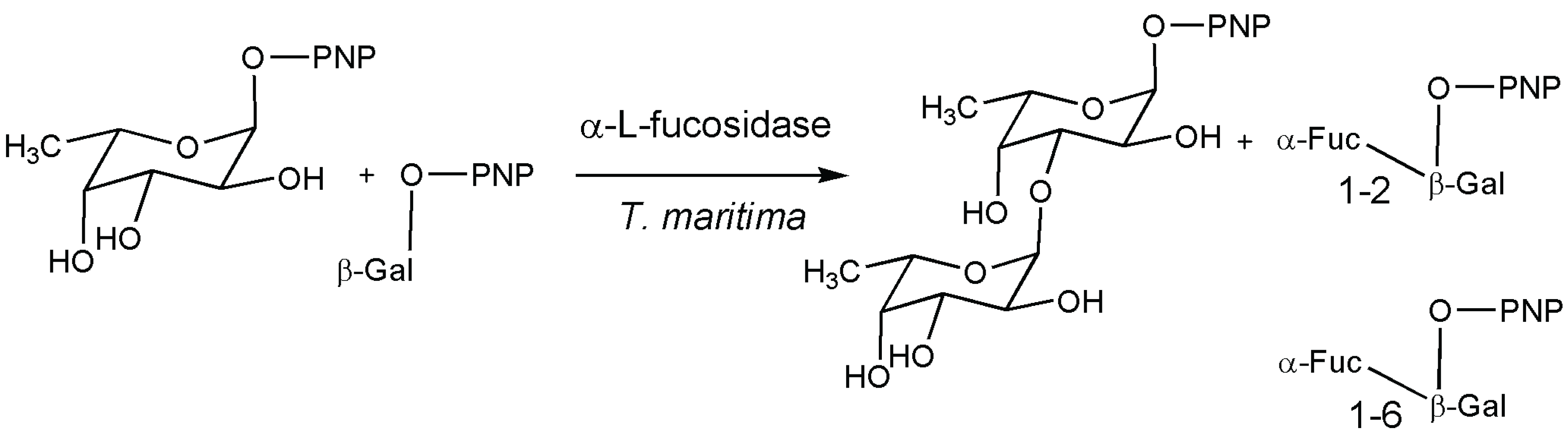 L-Glucose (L-(-)-Glucose), Glycosides
