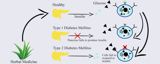 Ginger - Effect on Blood Glucose, Cataracts & Insulin Secretion