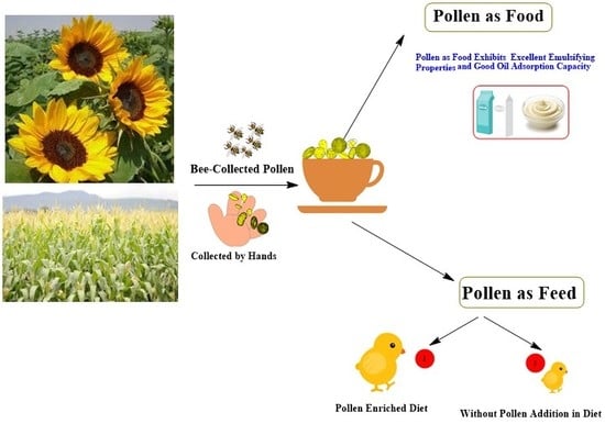 Biomolecules | Free Full-Text | The Application of Pollen as a Functional  Food and Feed Ingredient—The Present and Perspectives