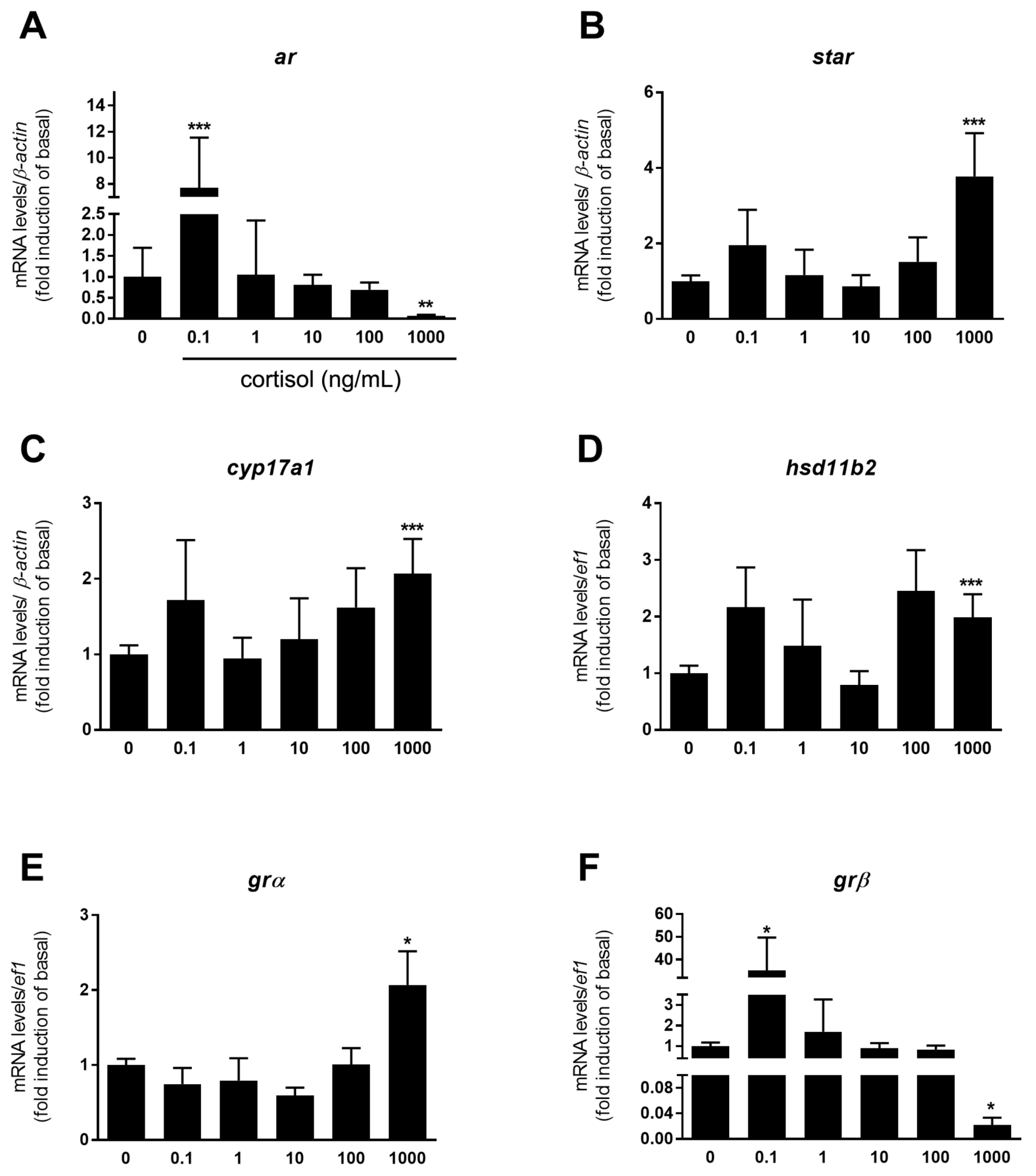 Histomorphometrical evaluation of zebrafish testes after in vivo