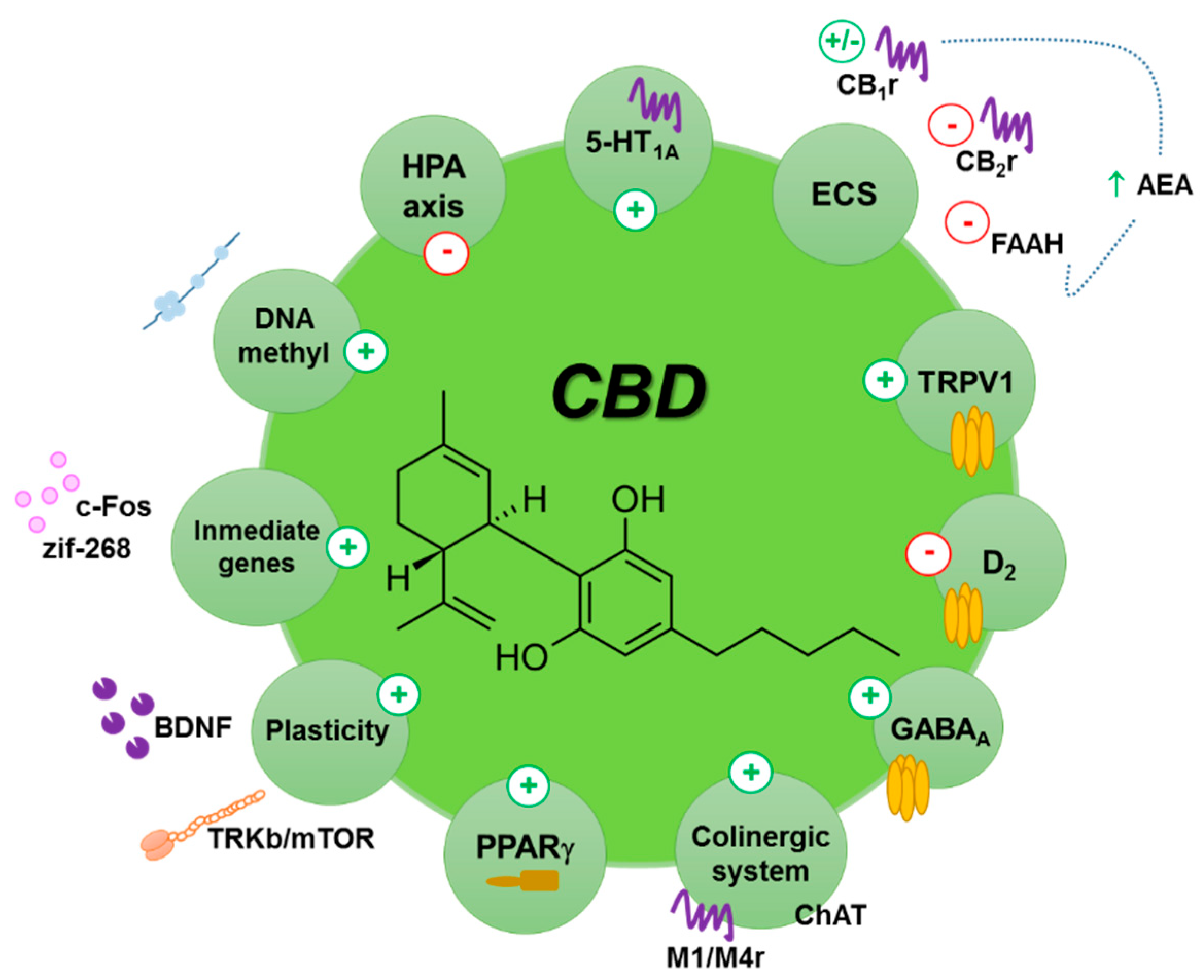 Efficacy And Safety Of Cannabinoid Oromucosal Spray For ... in Miami-Florida thumbnail