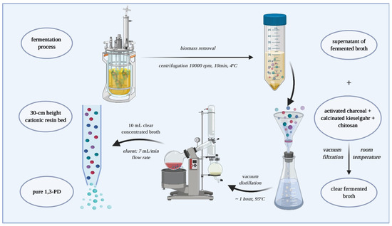 Biomolecules | Free Full-Text | Separation and Purification of Biogenic ...