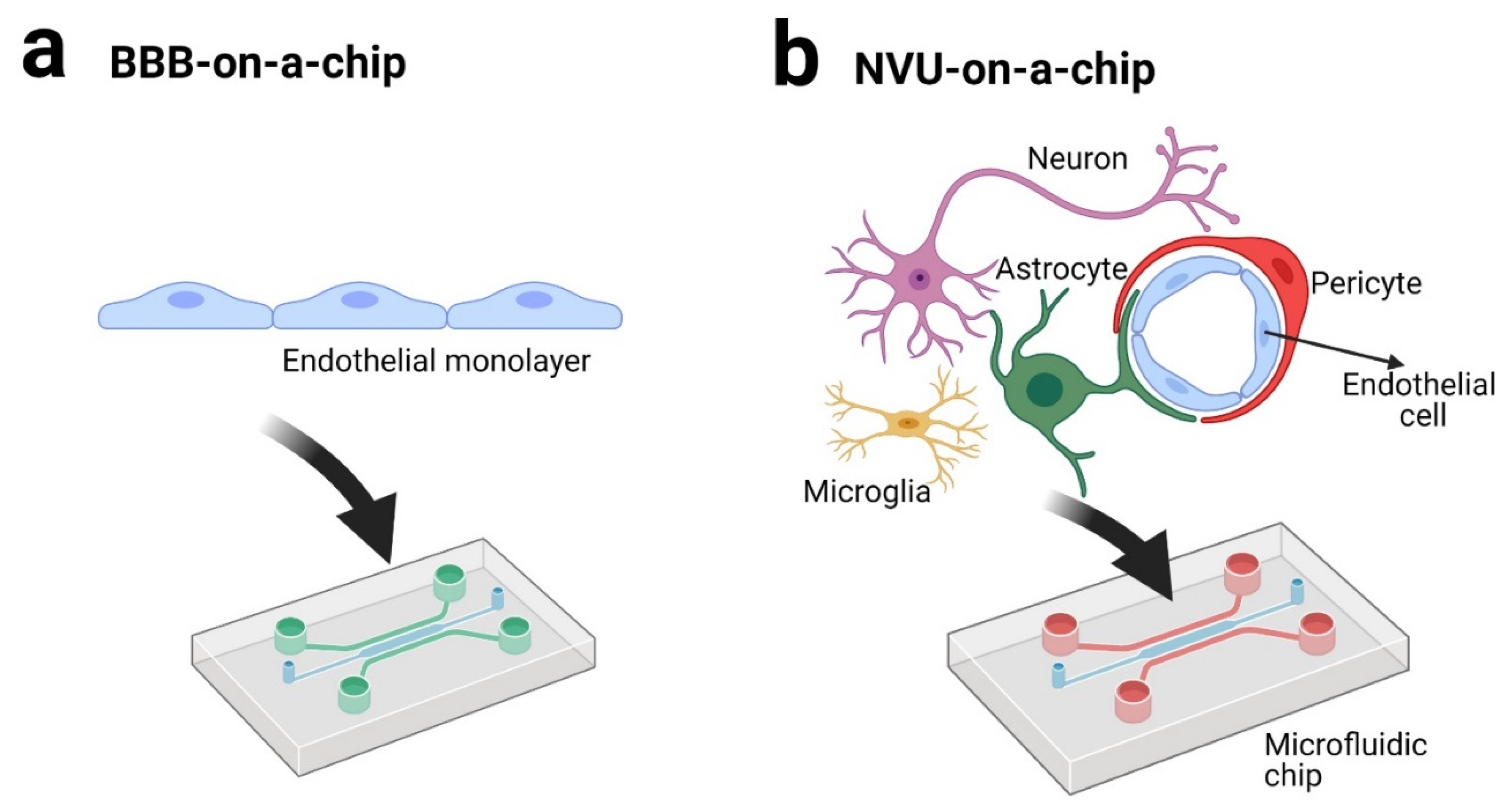 Biosensors Integration in Blood–Brain Barrier-on-a-Chip: Emerging Platform  for Monitoring Neurodegenerative Diseases