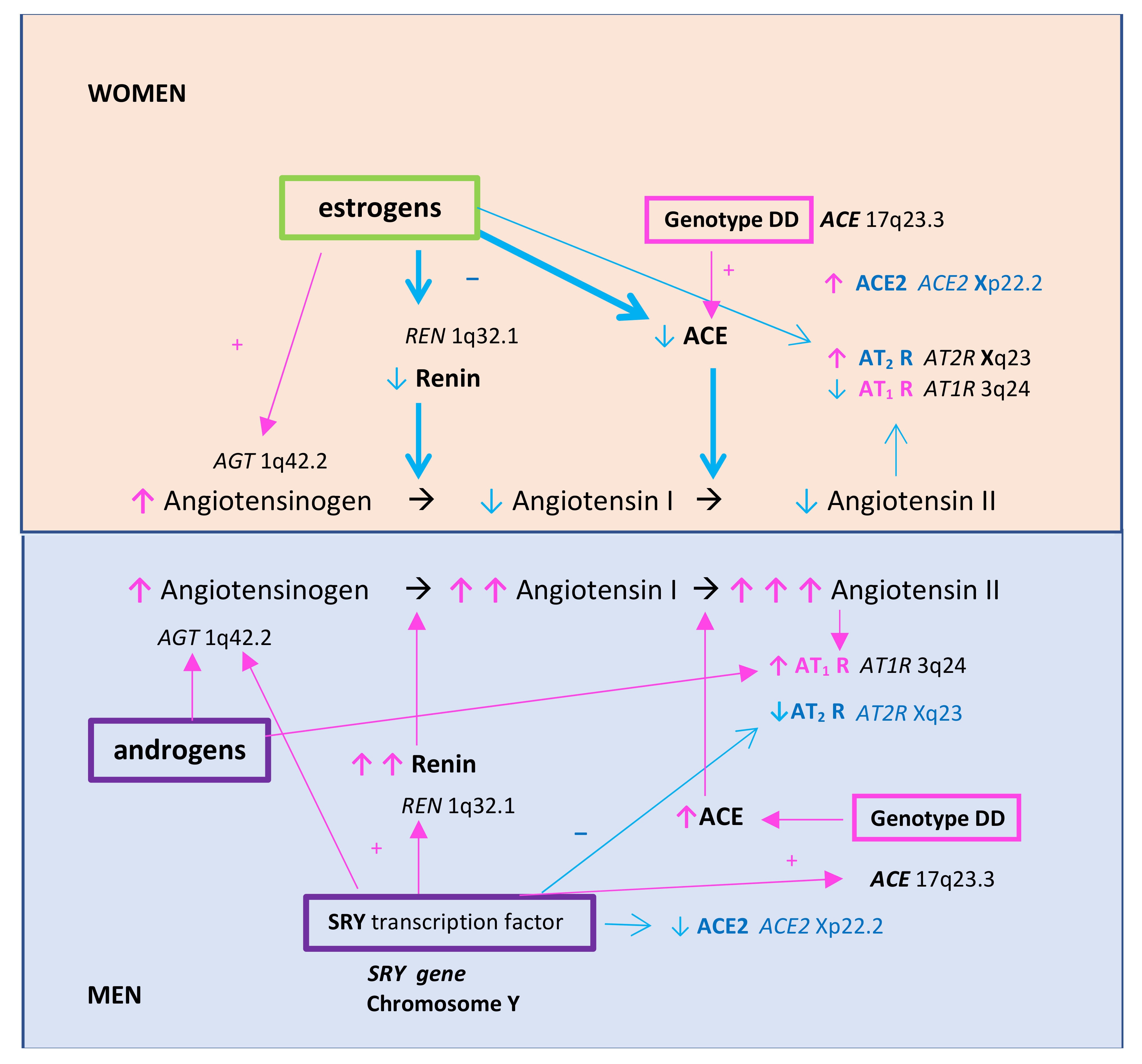 Biomolecules Free Full Text Fibrinogen And A Triad Of Thrombosis Inflammation And The 1357