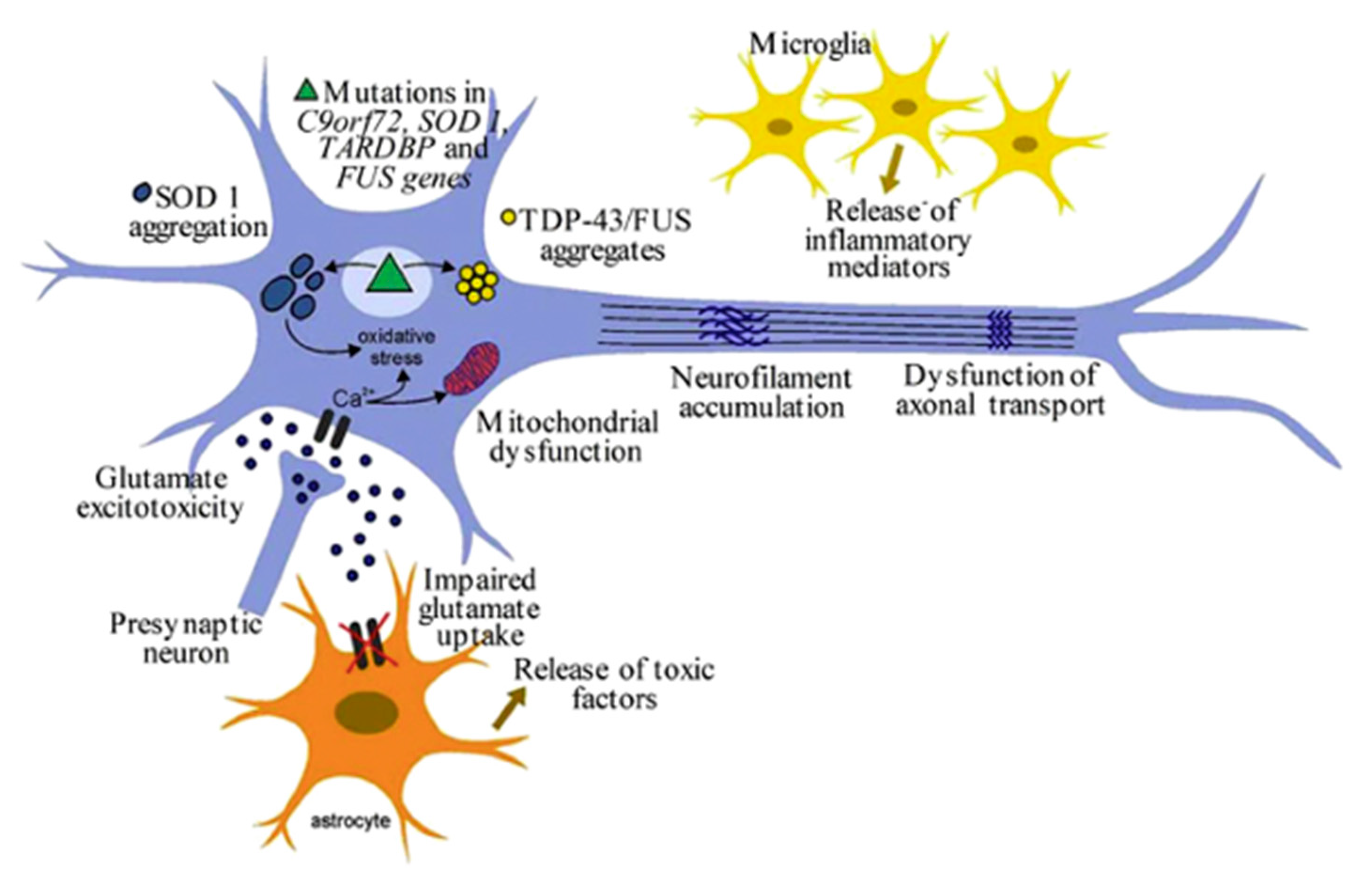 Biomolecules | Free Full-Text | The Evolving Concept of Neuro ...