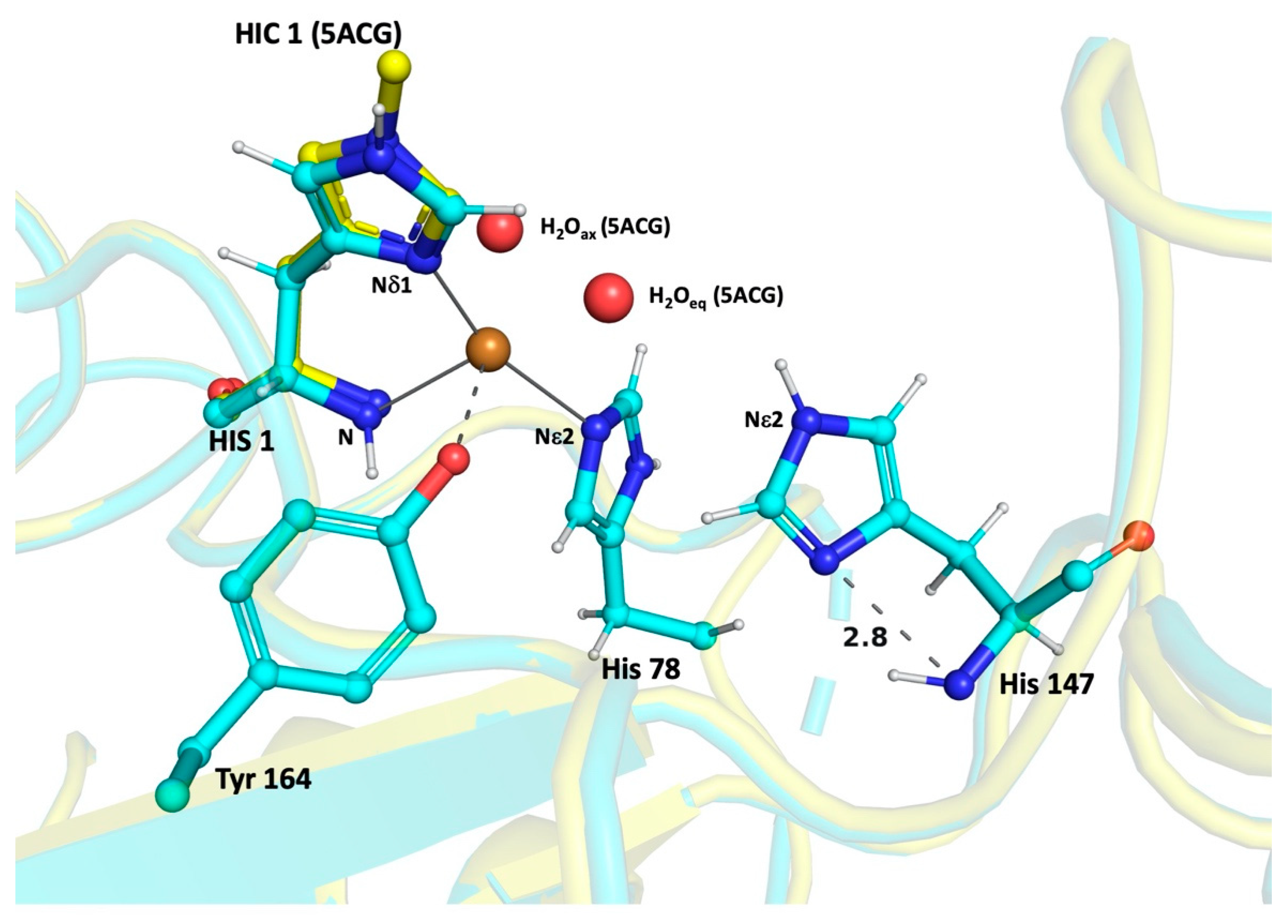 Biomolecules | Free Full-Text | Protonation State of an Histidine from High Resolution Structures Lytic Monooxygenases