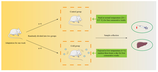 Biomolecules | Free Full-Text | Cold Stress Induced Liver Injury of ...