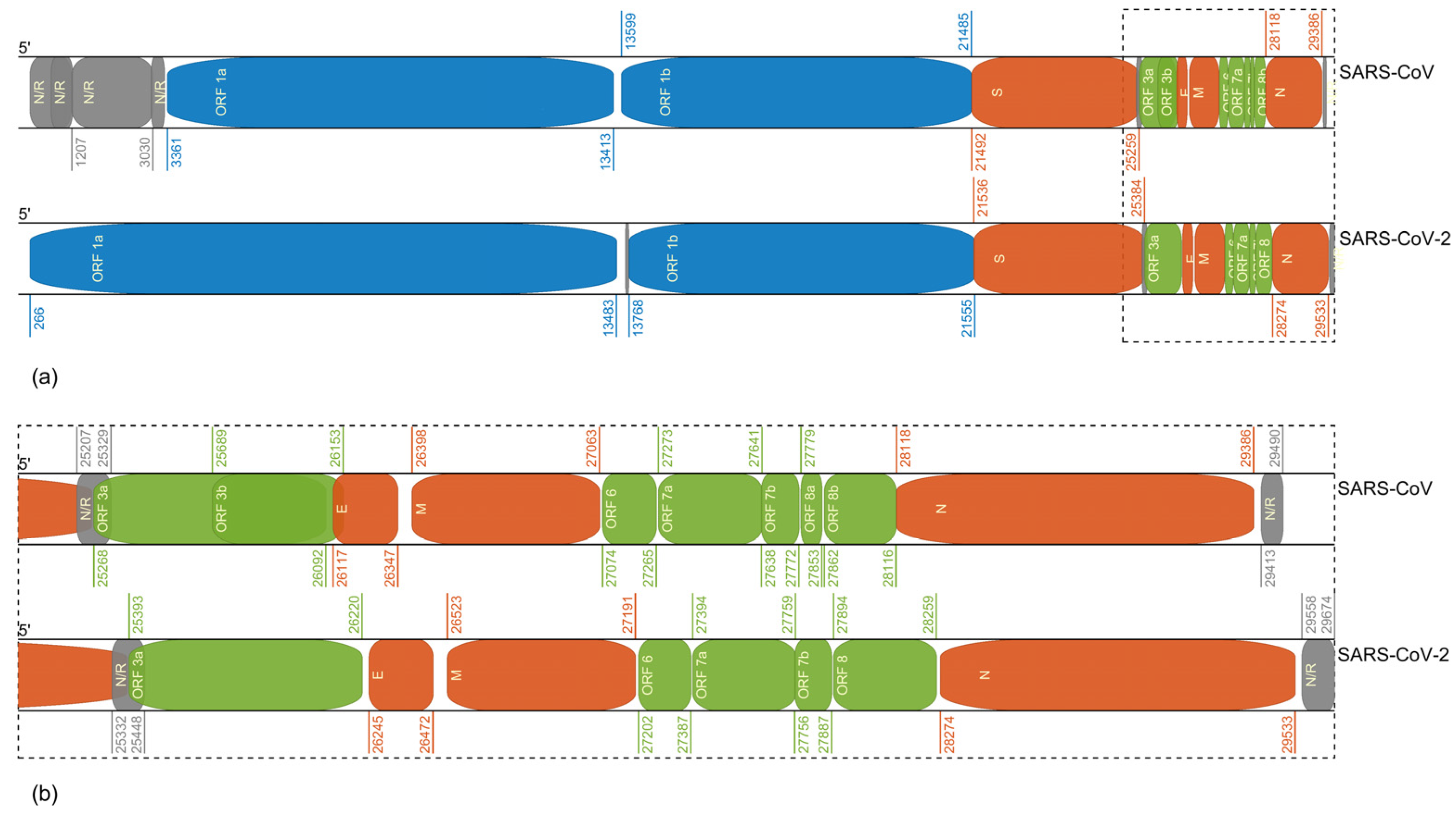 Biomolecules | Free Full-Text | Host-Genome Similarity 