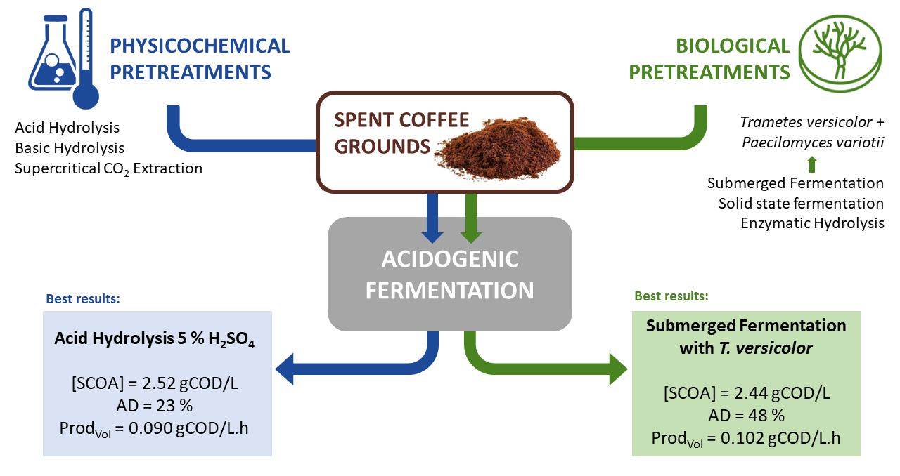 Only Alkaline Coffee on the Market - Bio Coffee 