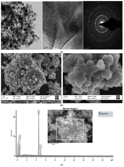 The Stability and Anti-Angiogenic Properties of Titanium Dioxide ...
