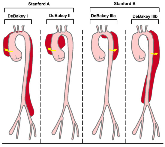 Biomolecules 