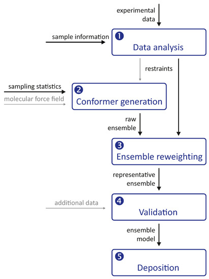 Biomolecules | Free Full-Text | Integration of Nanometer-Range Label-to ...