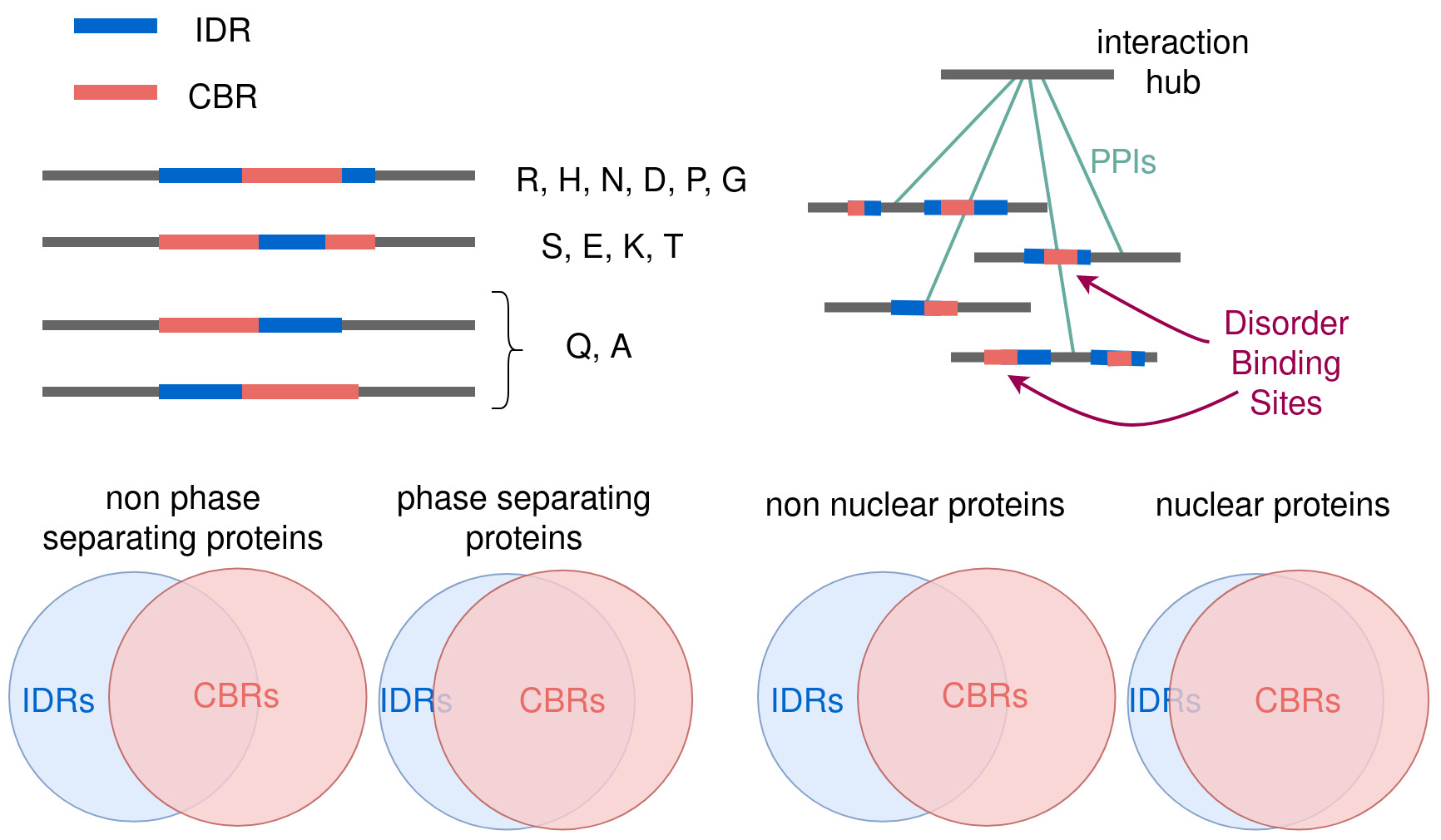 Biomolecules Free Full-Text Functional Tuning of Intrinsically  Disordered Regions in Human Proteins by Composition Bias