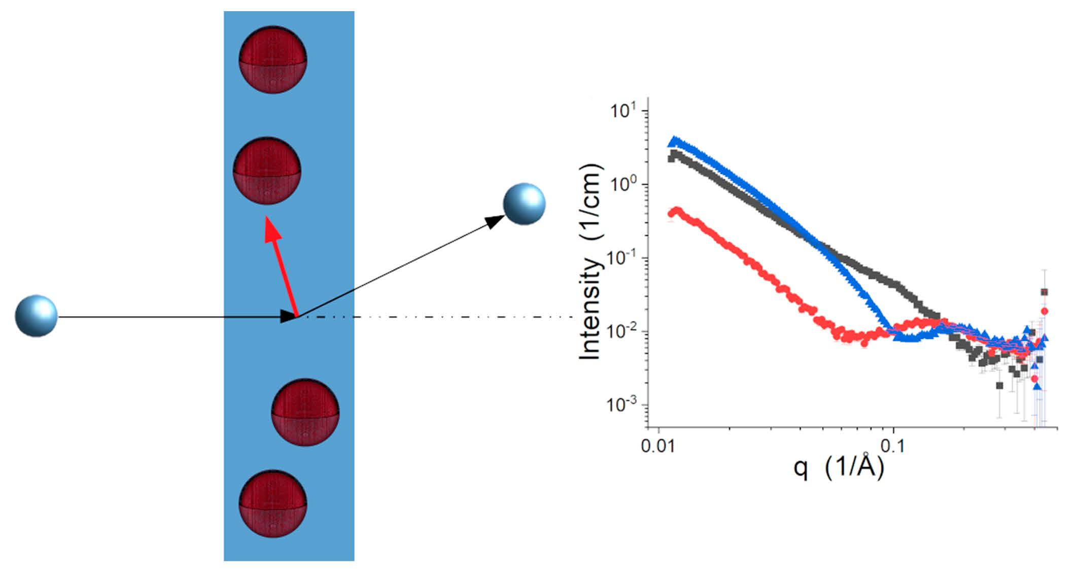 Small Angle Neutron Scattering For Studying Lipid Bilayer Membranes Small Angle Neutron Scattering For Studying Lipid Bilayer Membranes