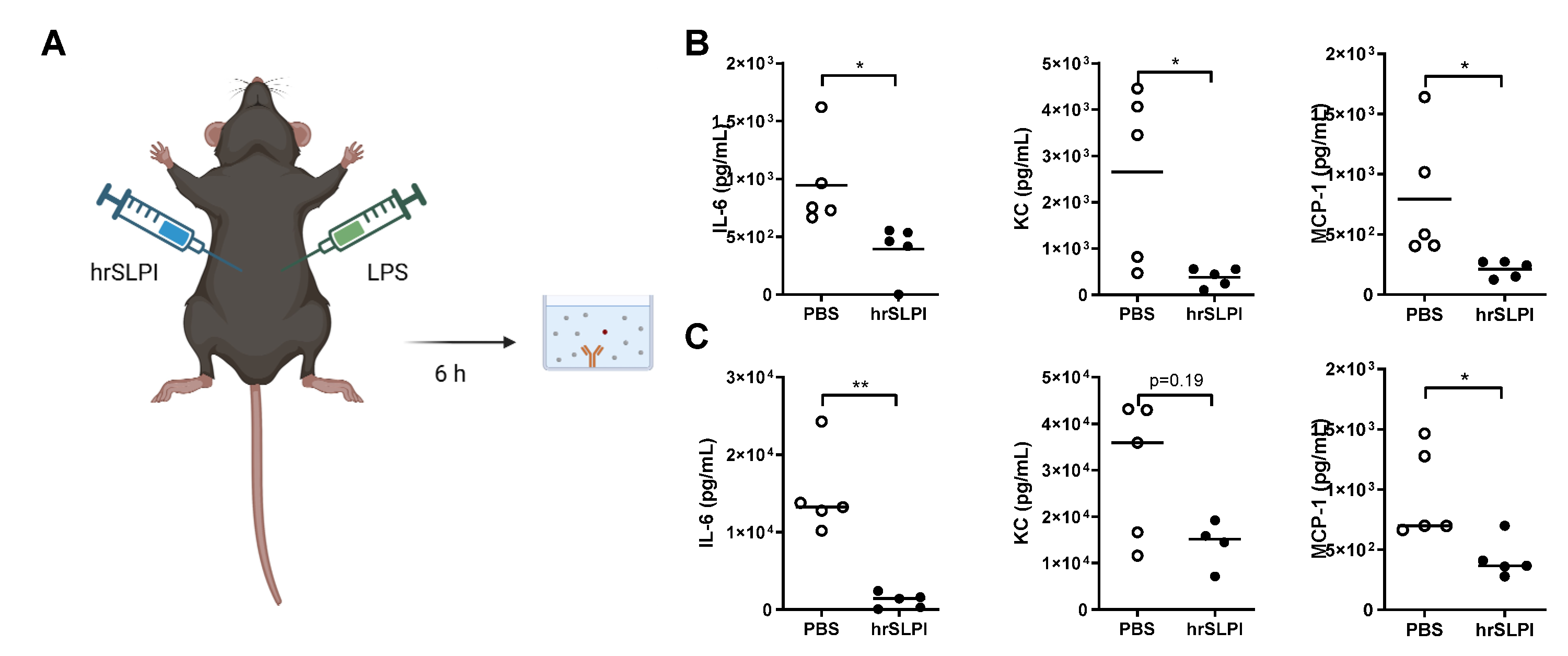 Biomolecules | Free Full-Text | Secretory Leucoprotease Inhibitor (SLPI ...