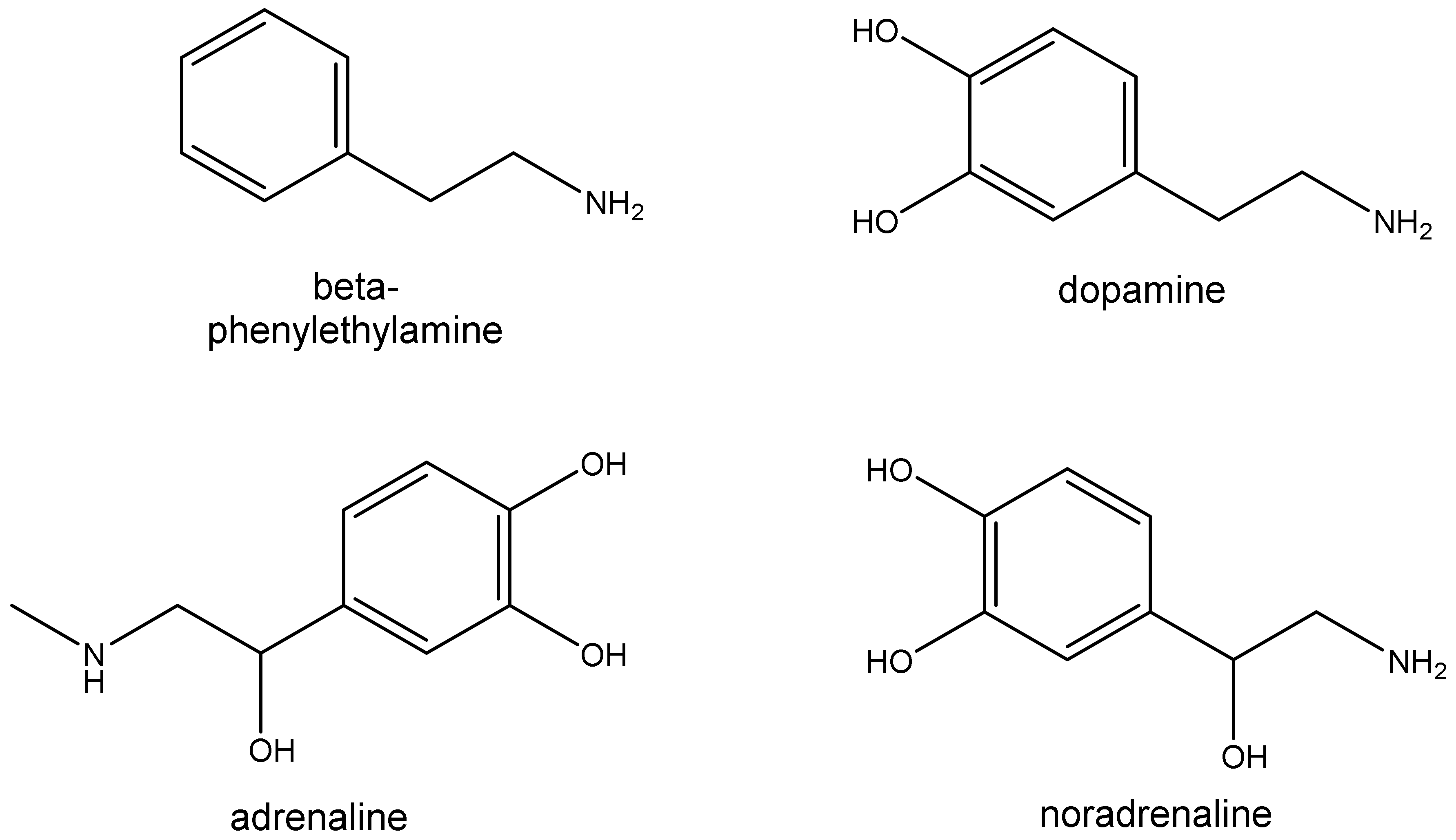 https://pub.mdpi-res.com/biomolecules/biomolecules-12-01793/article_deploy/html/images/biomolecules-12-01793-g001.png?1669968880