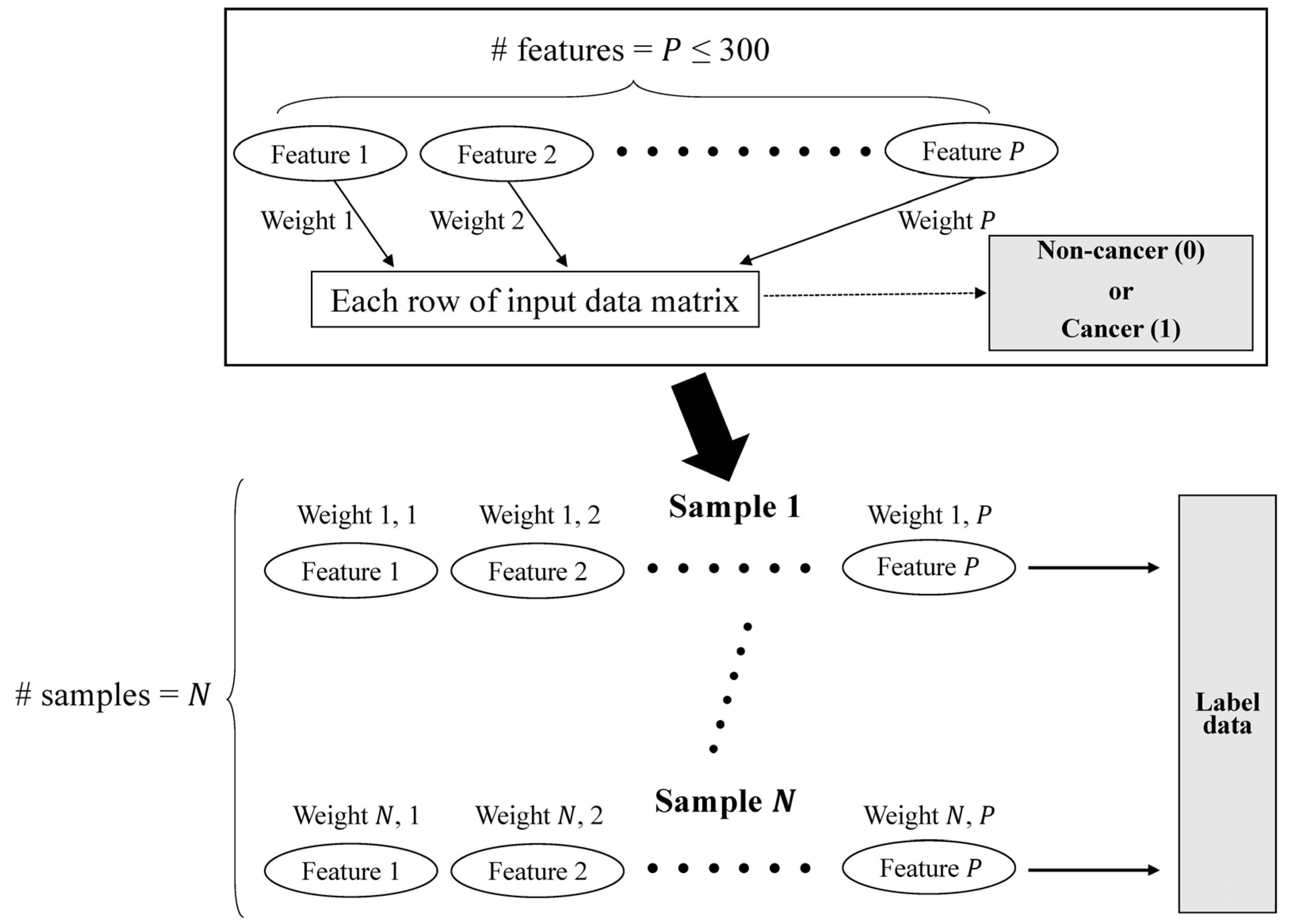 Biomolecules | Free Full-Text | Deep-Learning Algorithm and Concomitant Identification for NSCLC Prediction Using Multi-Omics Data Integration
