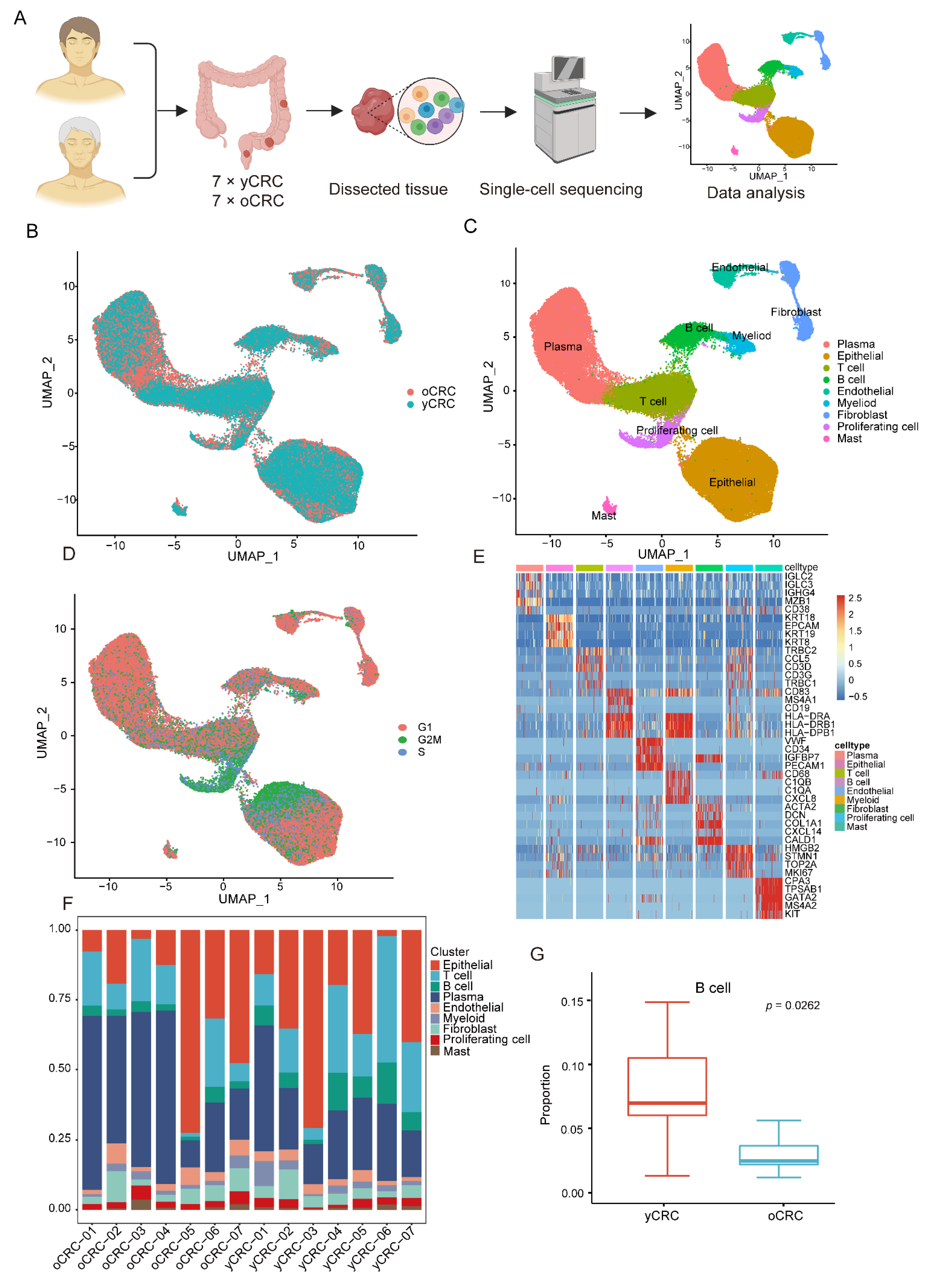 Biomolecules Free Full Text Single Cell Rna Sequencing Reveals Heterogeneity In The Tumor 6625