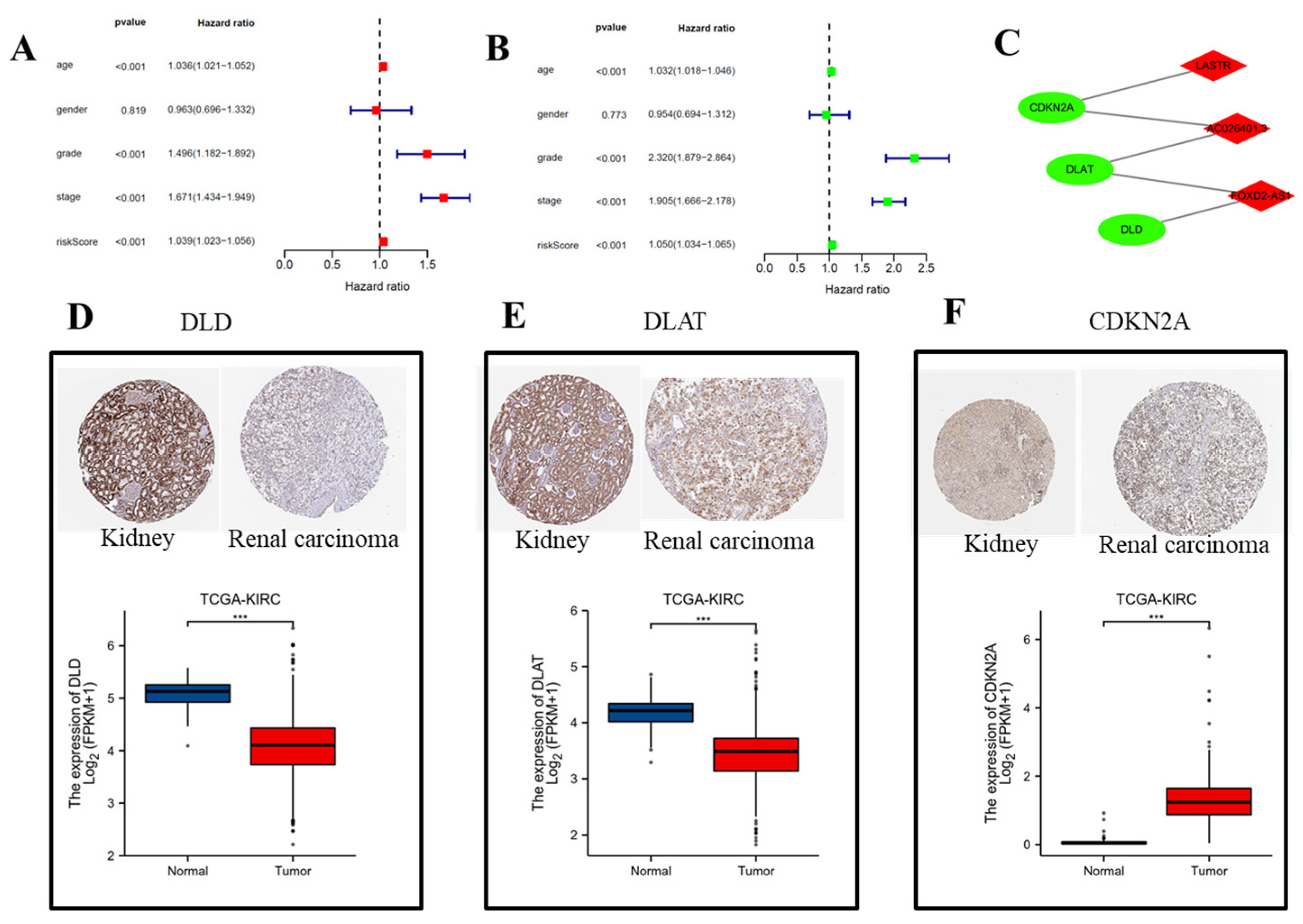 Biomolecules | Free Full-Text | Identification And Validation Of ...