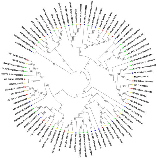 Biomolecules Free FullText Identification of Bottle Gourd