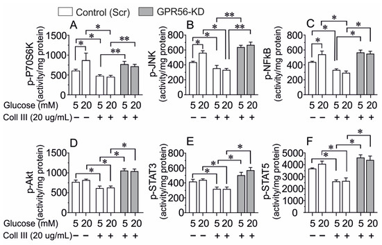 Ablation of GPR56 Causes β-Cell Dysfunction by ATP Loss through 