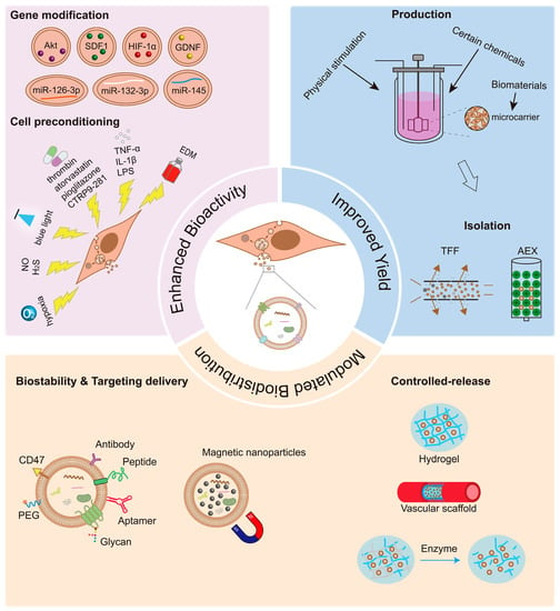 Biomolecules | Free Full-Text | Mesenchymal Stromal Cell-Derived ...