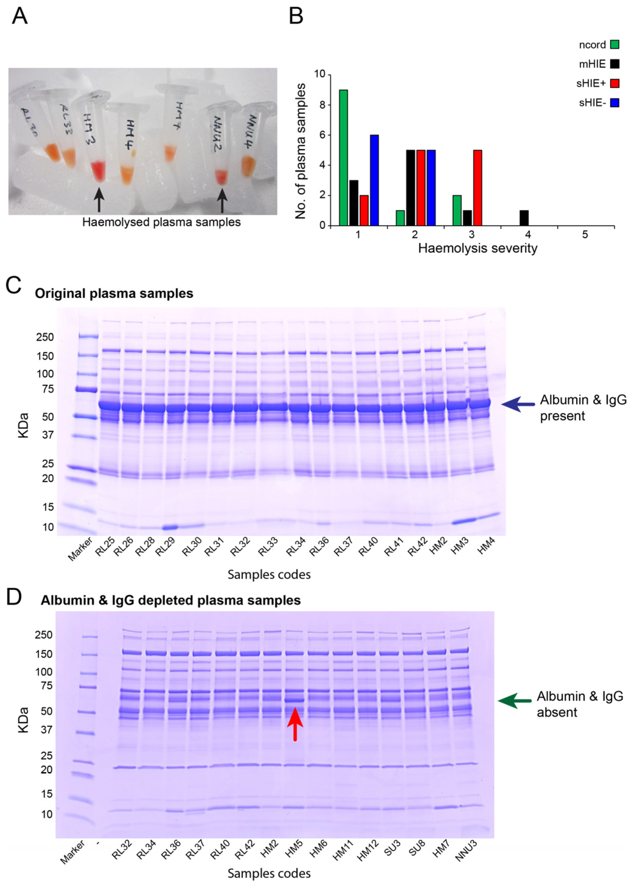 Biomolecules | Free Full-Text | Newborns with Favourable Outcomes